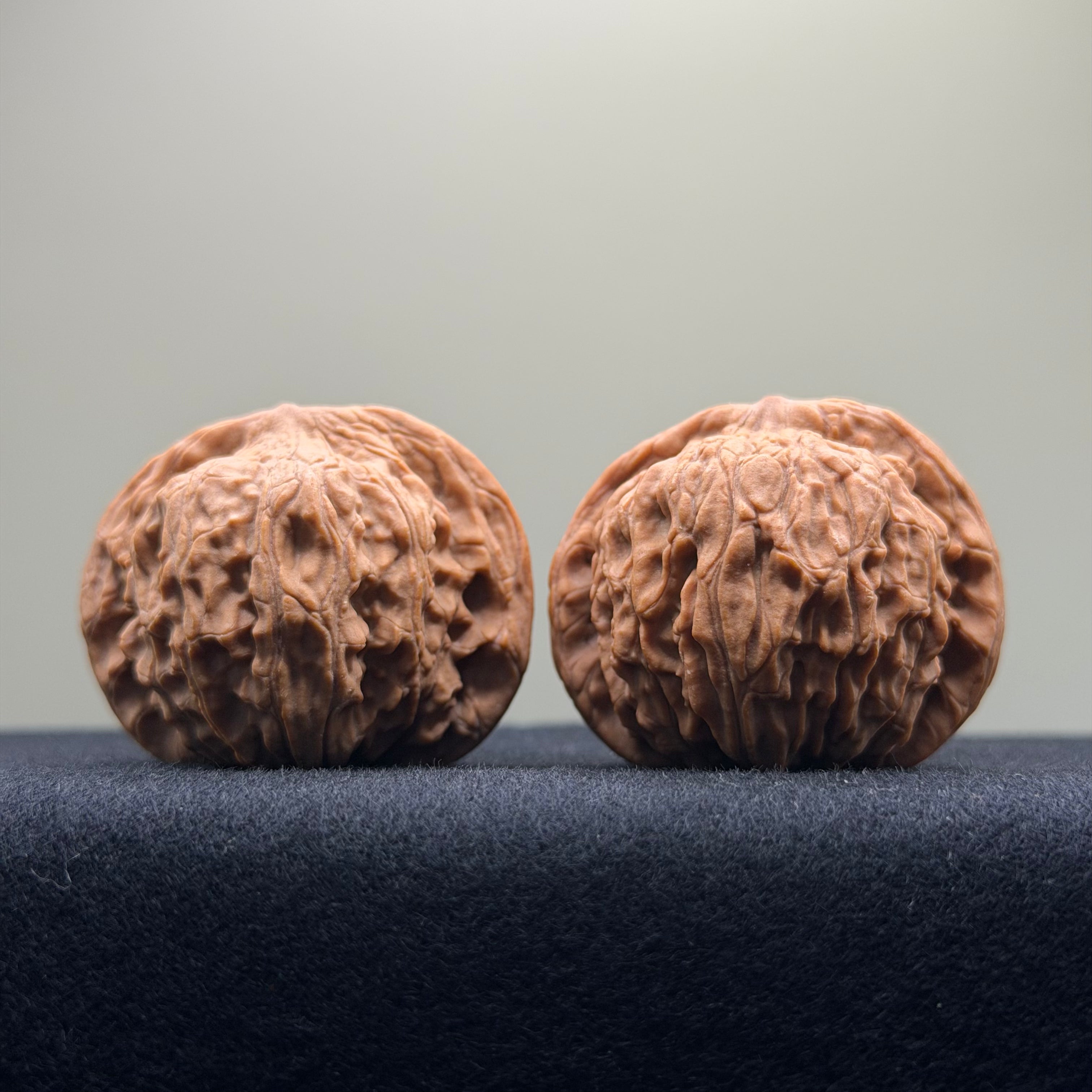 Red Lion Wenwan Walnut · 41mm · Natural · Select Ritual