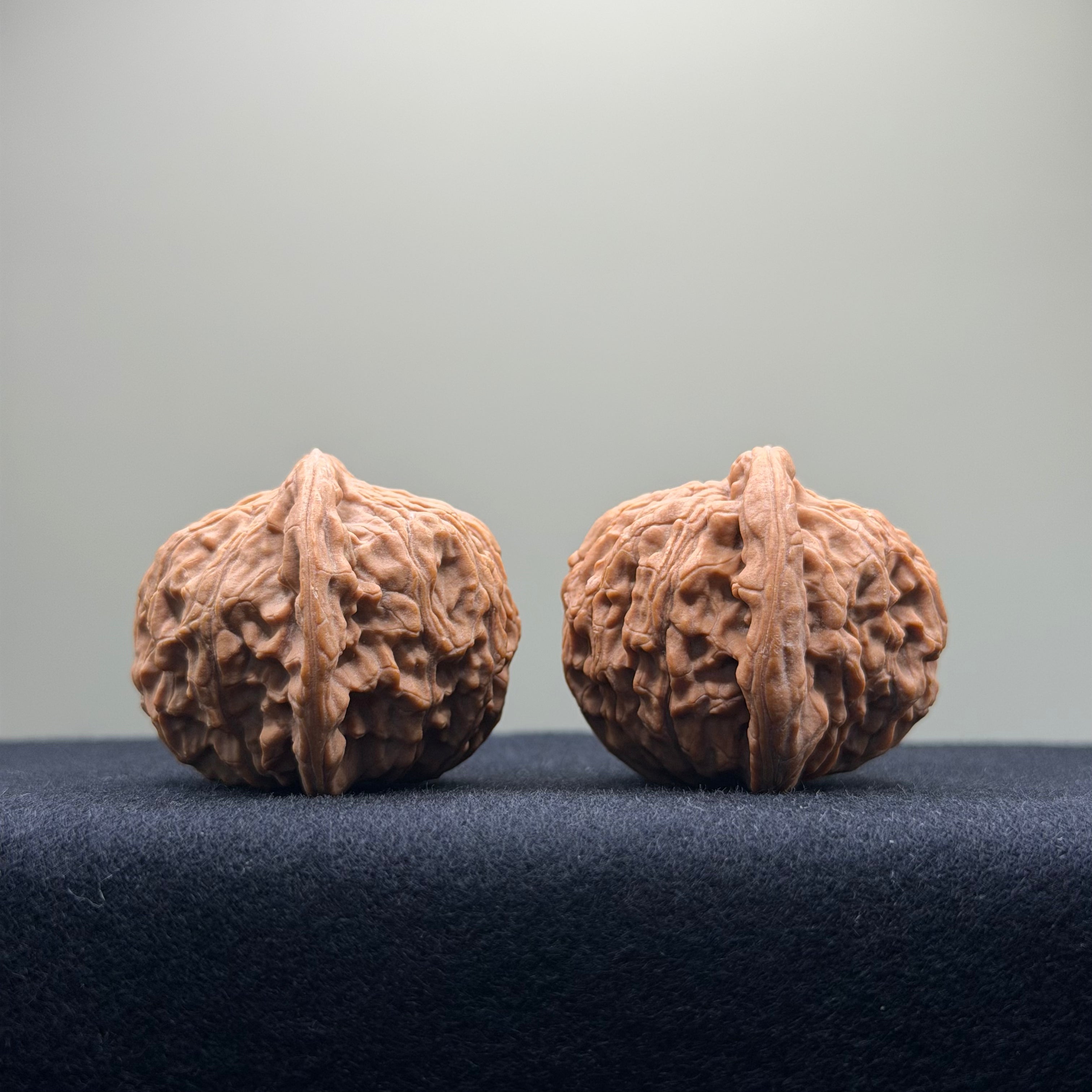 Red Lion Wenwan Walnut · 41mm · Natural · Select Ritual