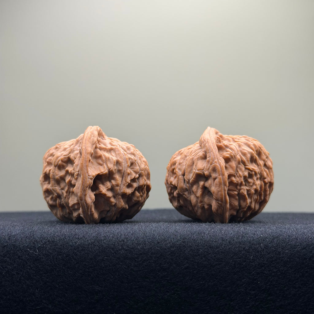 Red Lion Wenwan Walnut · 41mm · Natural · Select Ritual