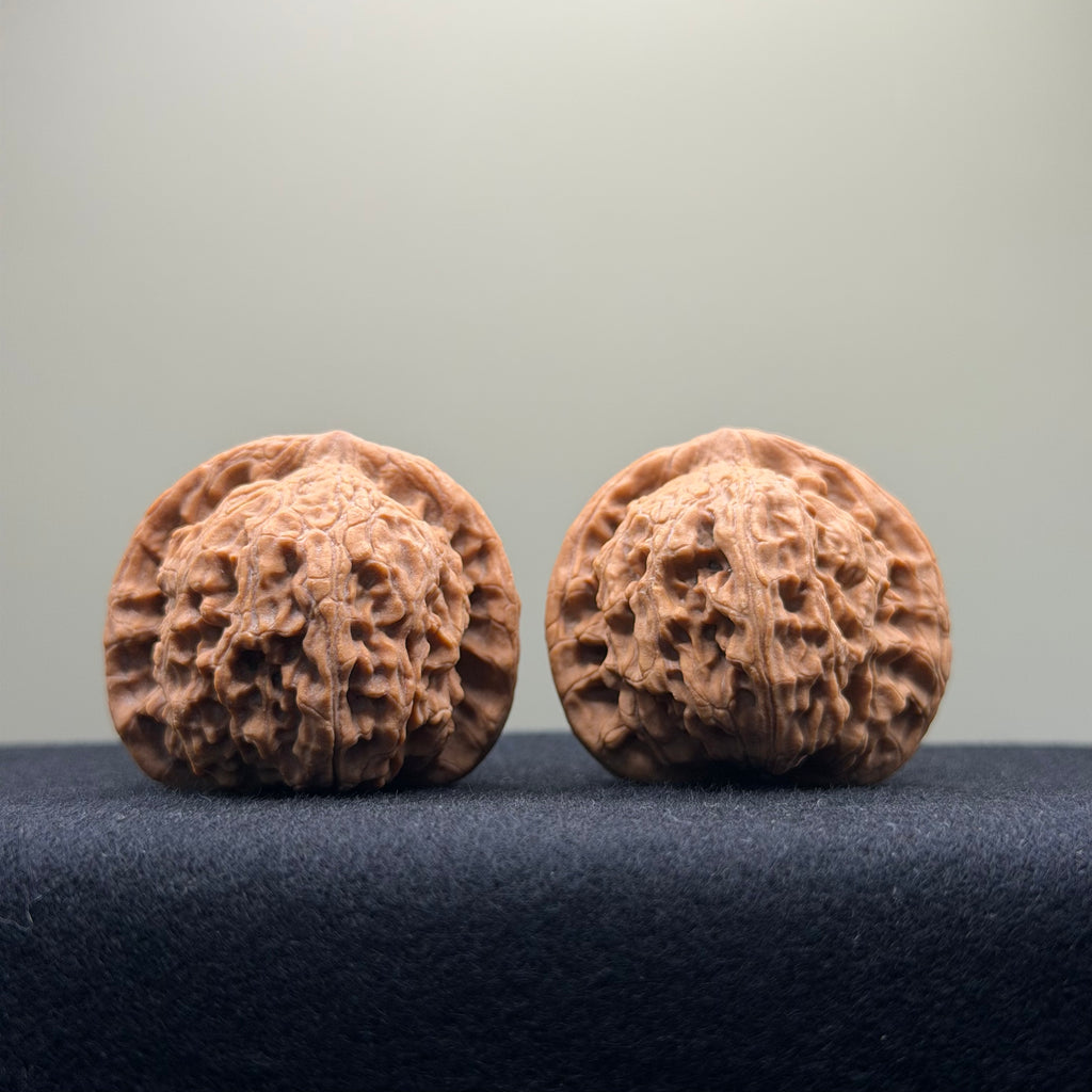 Red Lion Wenwan Walnut · 38mm · Natural · Select Ritual