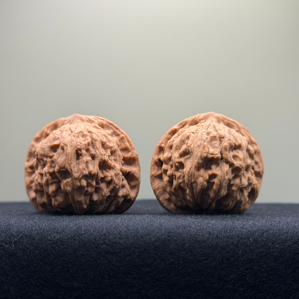 Red Lion Wenwan Walnut · 38mm · Natural · Select Ritual
