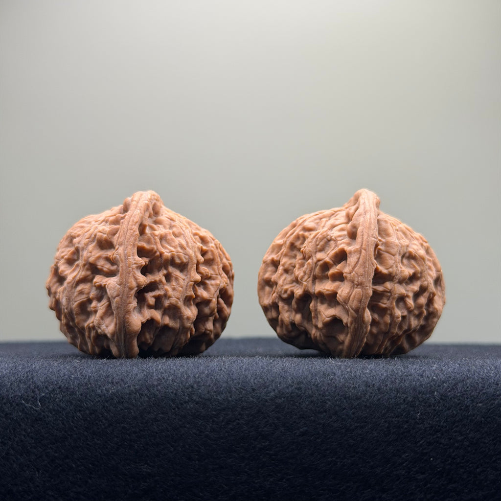 Red Lion Wenwan Walnut · 38mm · Natural · Select Ritual