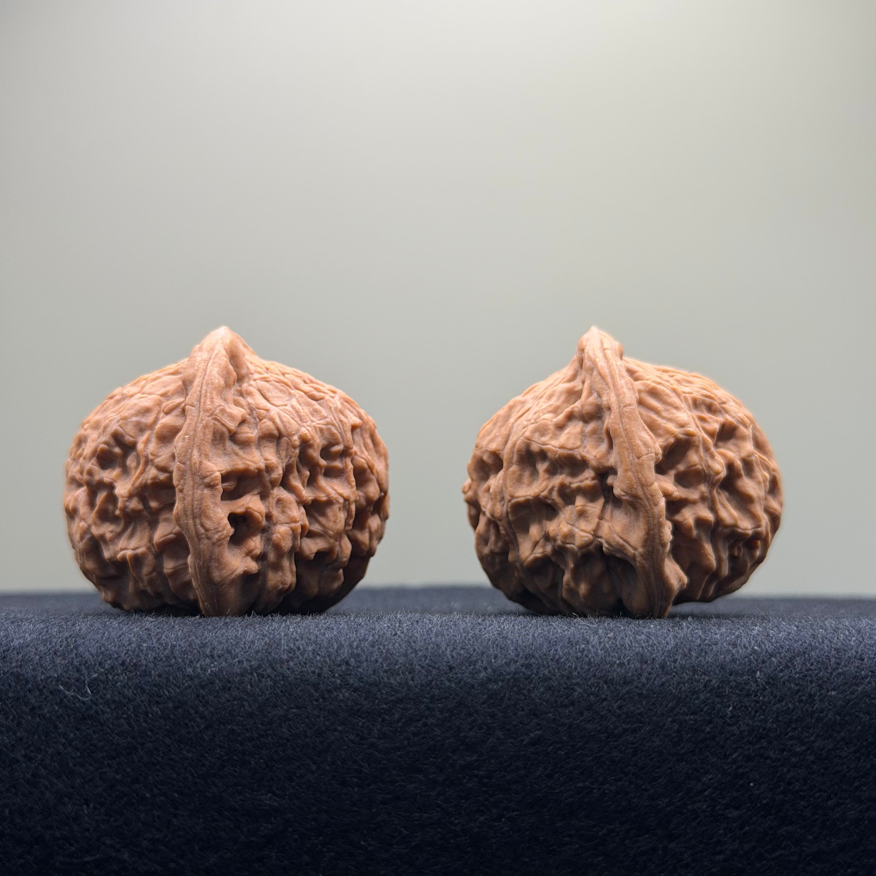 Red Lion Wenwan Walnut · 38mm · Natural · Select Ritual