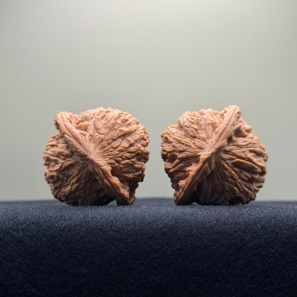 Red Lion Wenwan Walnut · 38mm · Natural · Select Ritual