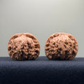 Red Lion Wenwan Walnut · 40mm · Natural · Select Ritual
