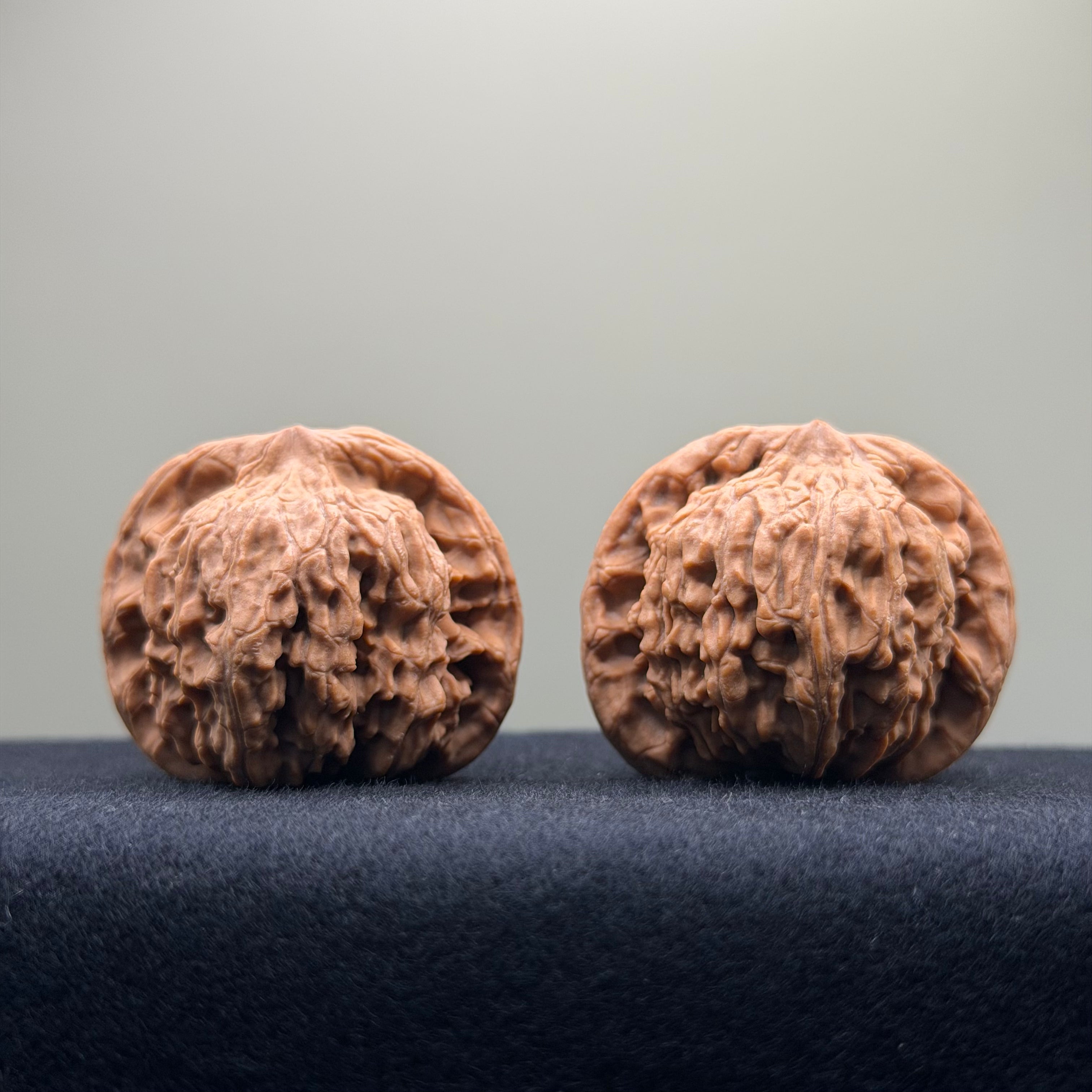 Red Lion Wenwan Walnut · 40mm · Natural · Select Ritual