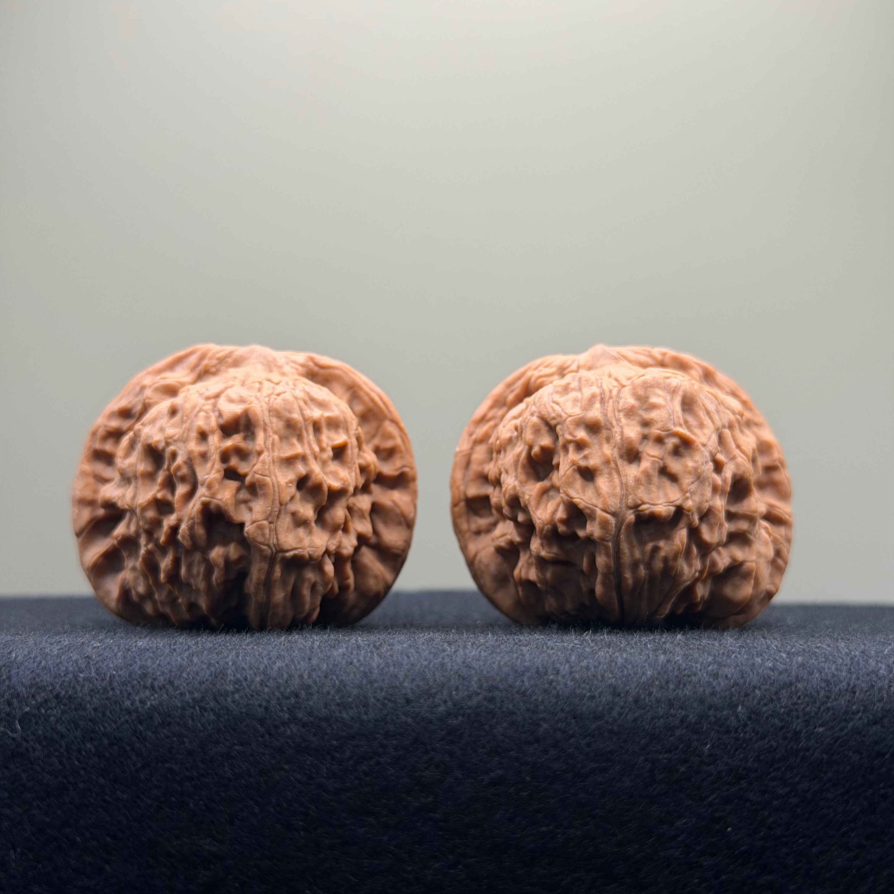 Red Lion Wenwan Walnut · 40mm · Natural · Select Ritual