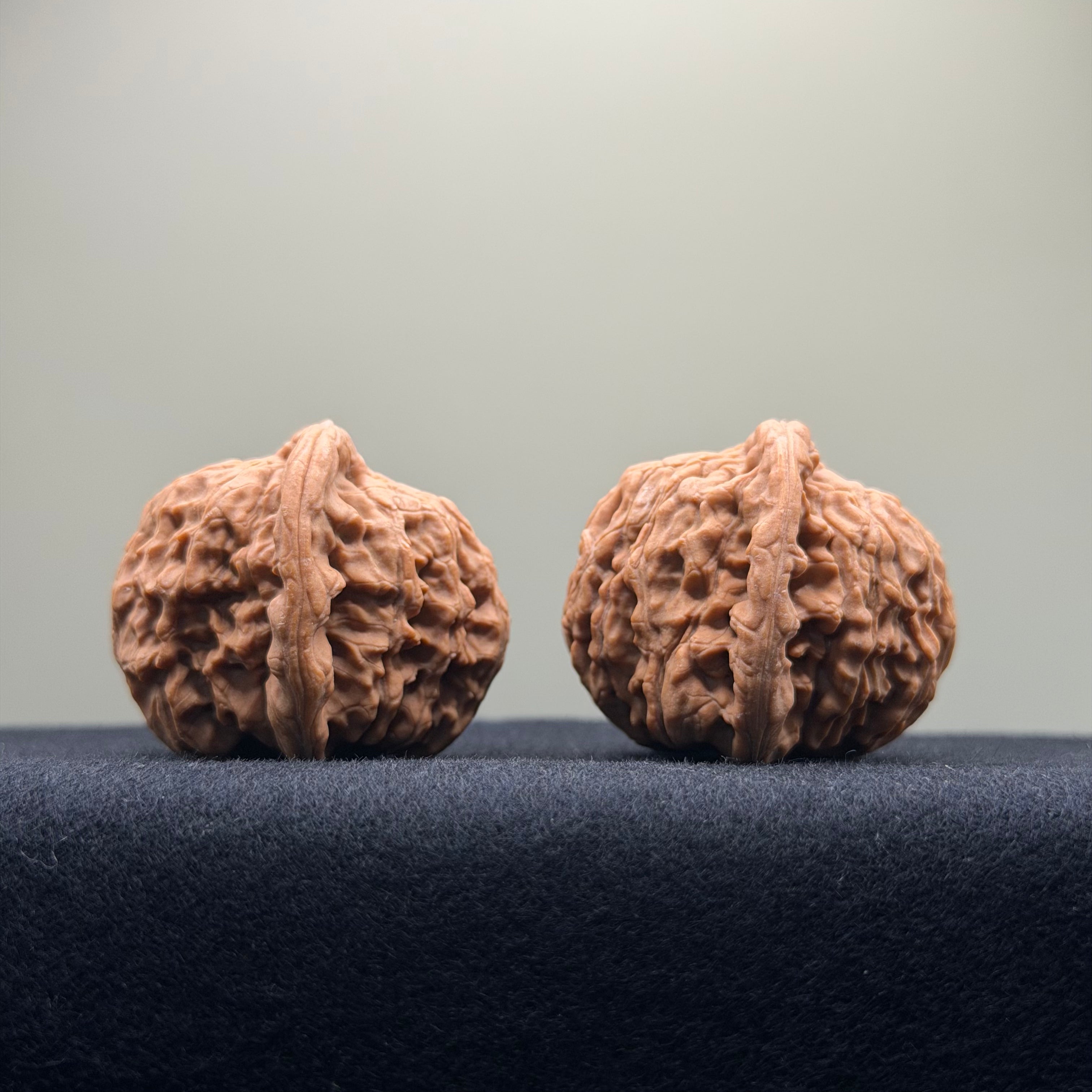 Red Lion Wenwan Walnut · 40mm · Natural · Select Ritual