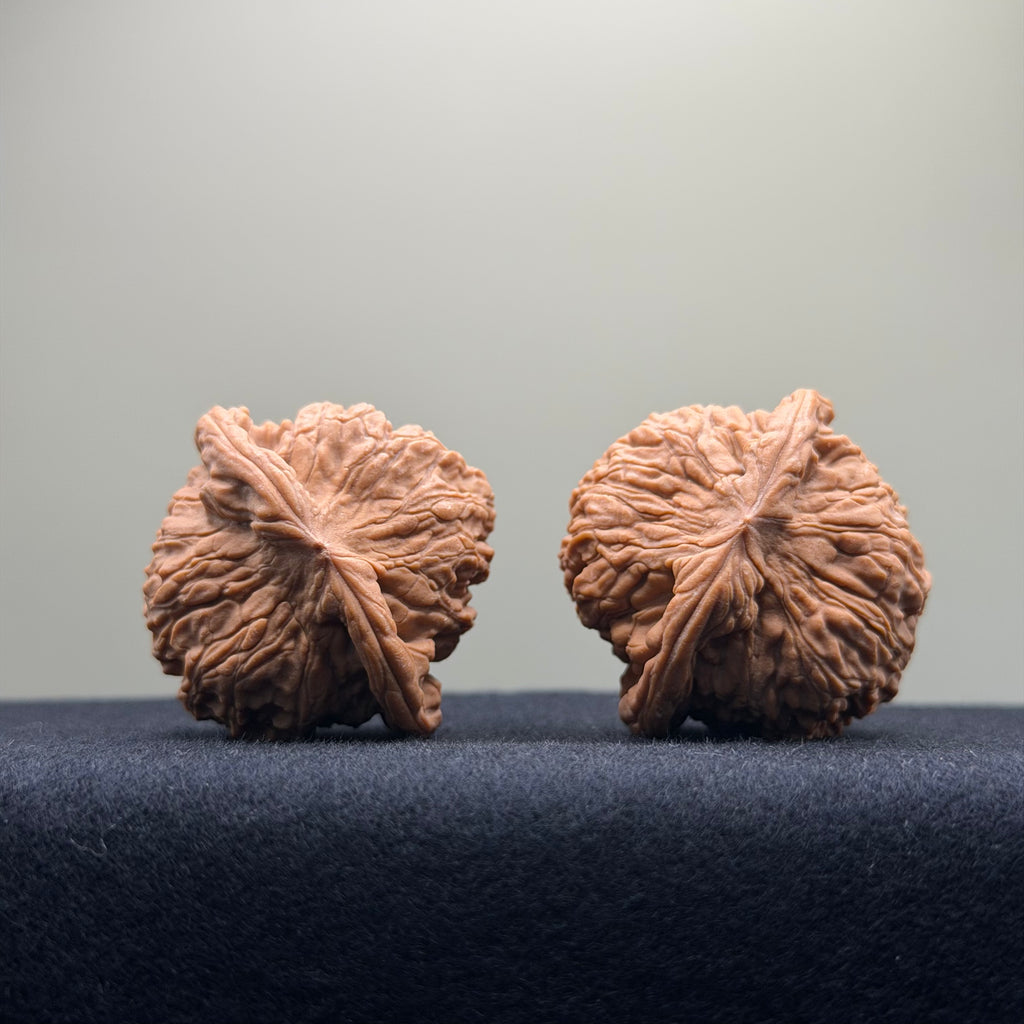 Red Lion Wenwan Walnut · 40mm · Natural · Select Ritual