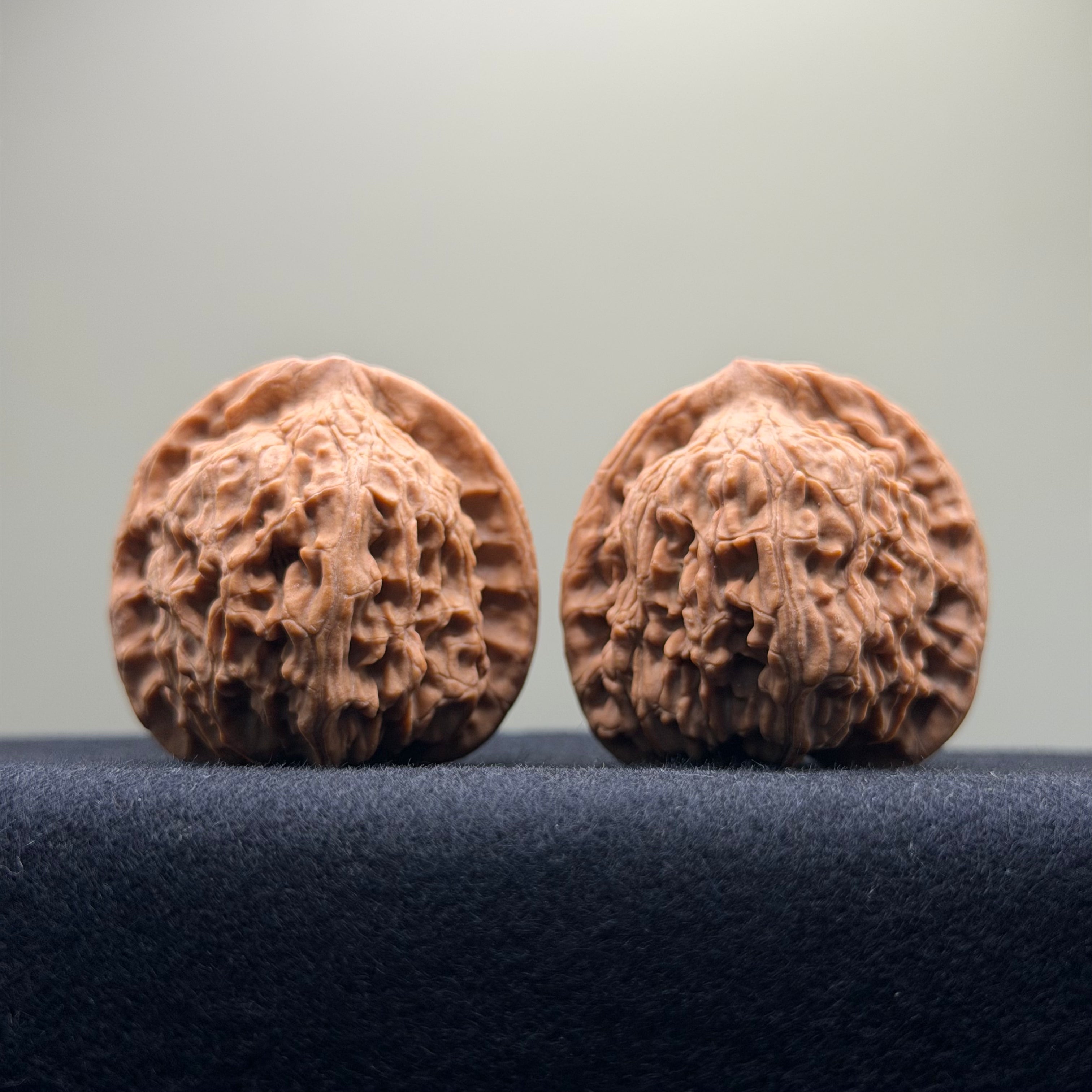 Red Lion Wenwan Walnut · 40mm · Natural · Select Ritual