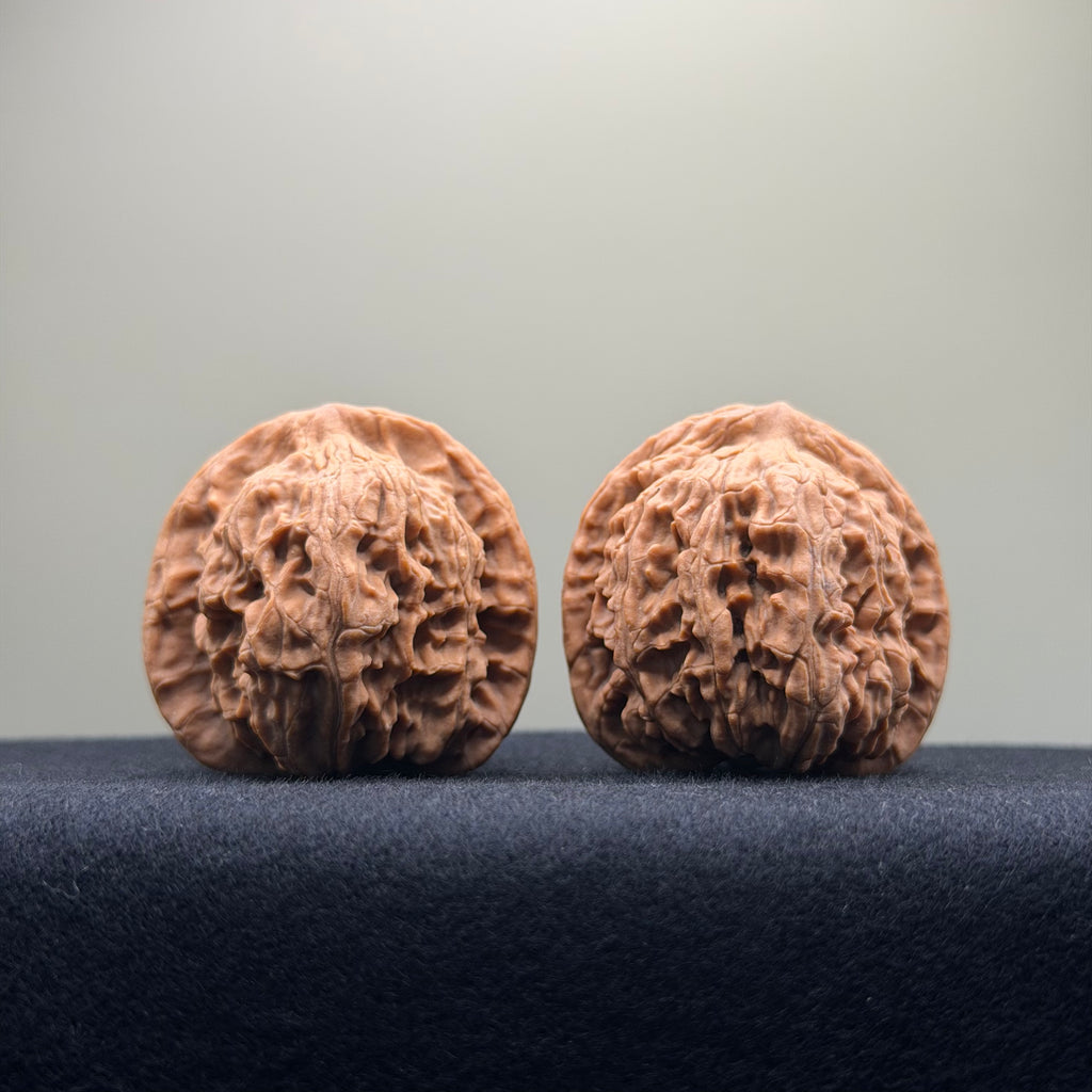 Red Lion Wenwan Walnut · 40mm · Natural · Select Ritual