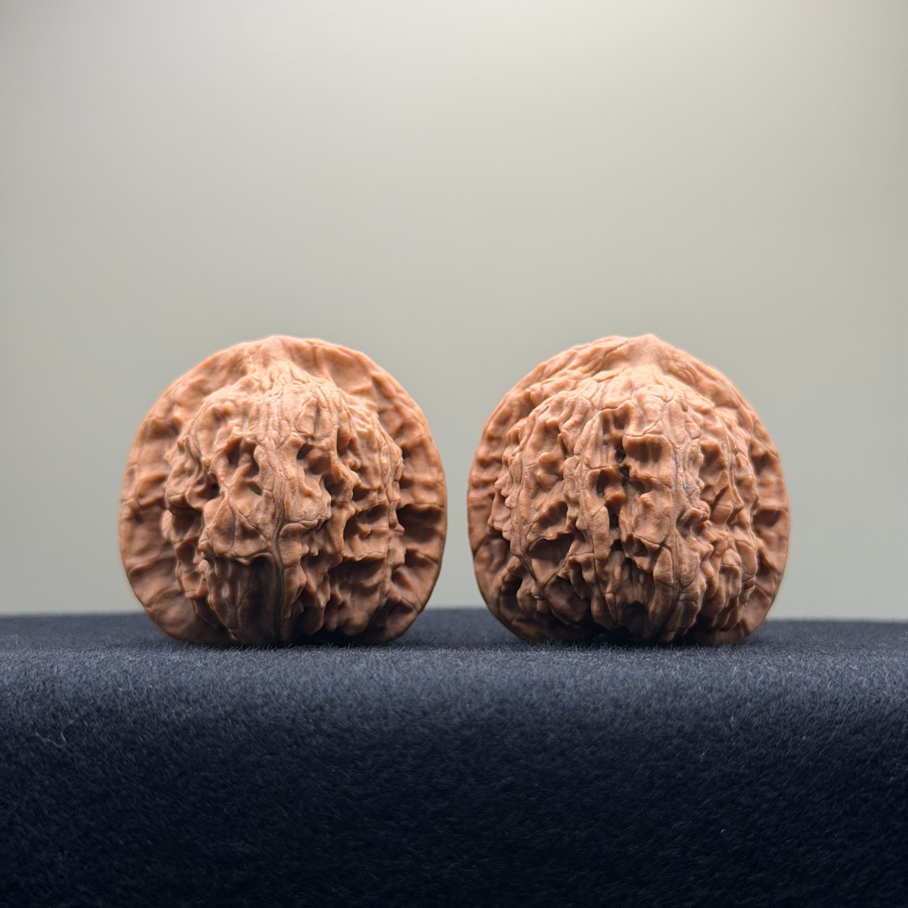 Red Lion Wenwan Walnut · 40mm · Natural · Select Ritual