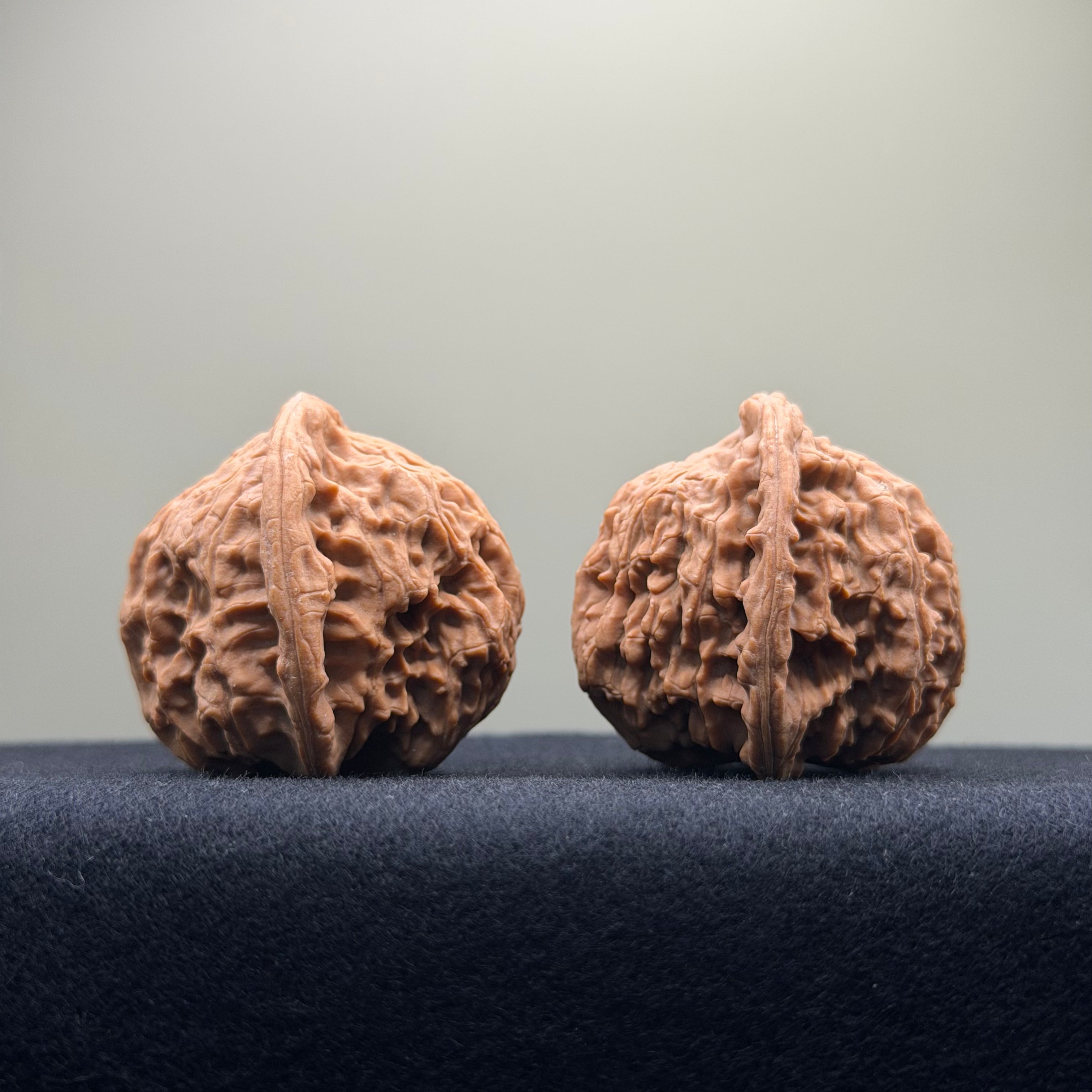 Red Lion Wenwan Walnut · 40mm · Natural · Select Ritual