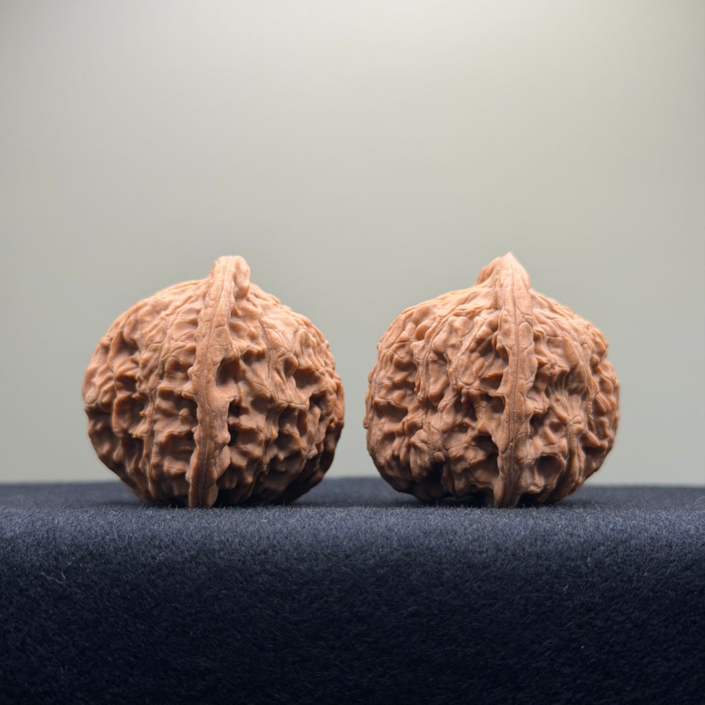 Red Lion Wenwan Walnut · 40mm · Natural · Select Ritual