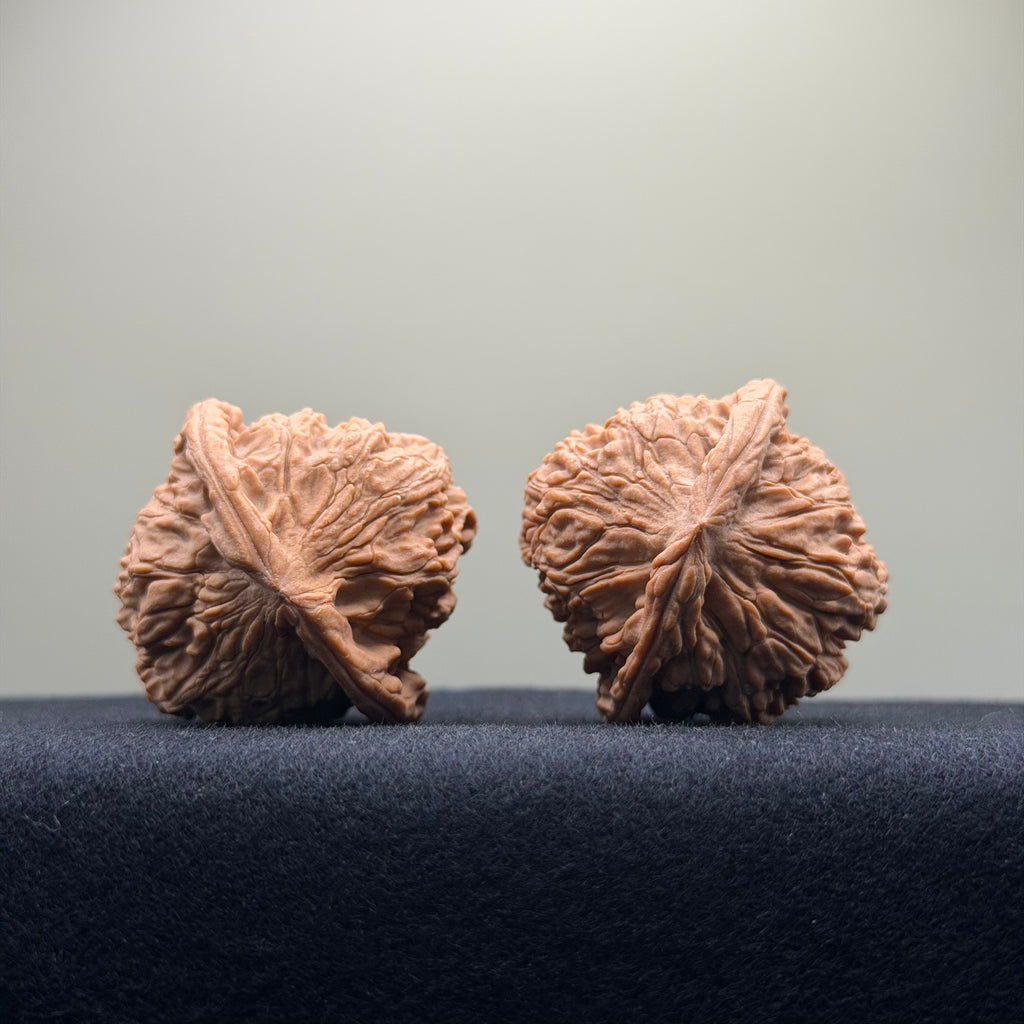 Red Lion Wenwan Walnut · 40mm · Natural · Select Ritual
