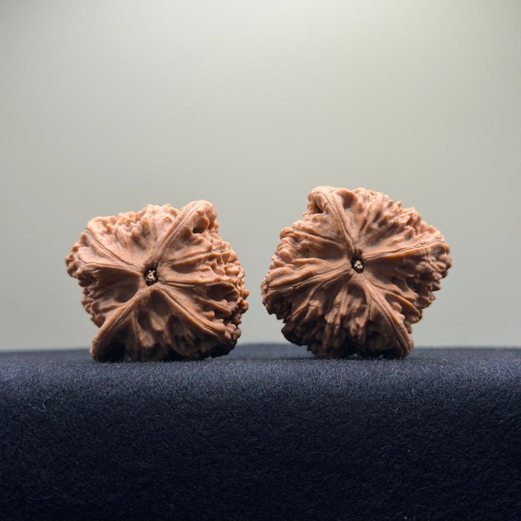 Red Lion Wenwan Walnut · 40mm · Natural · Select Ritual