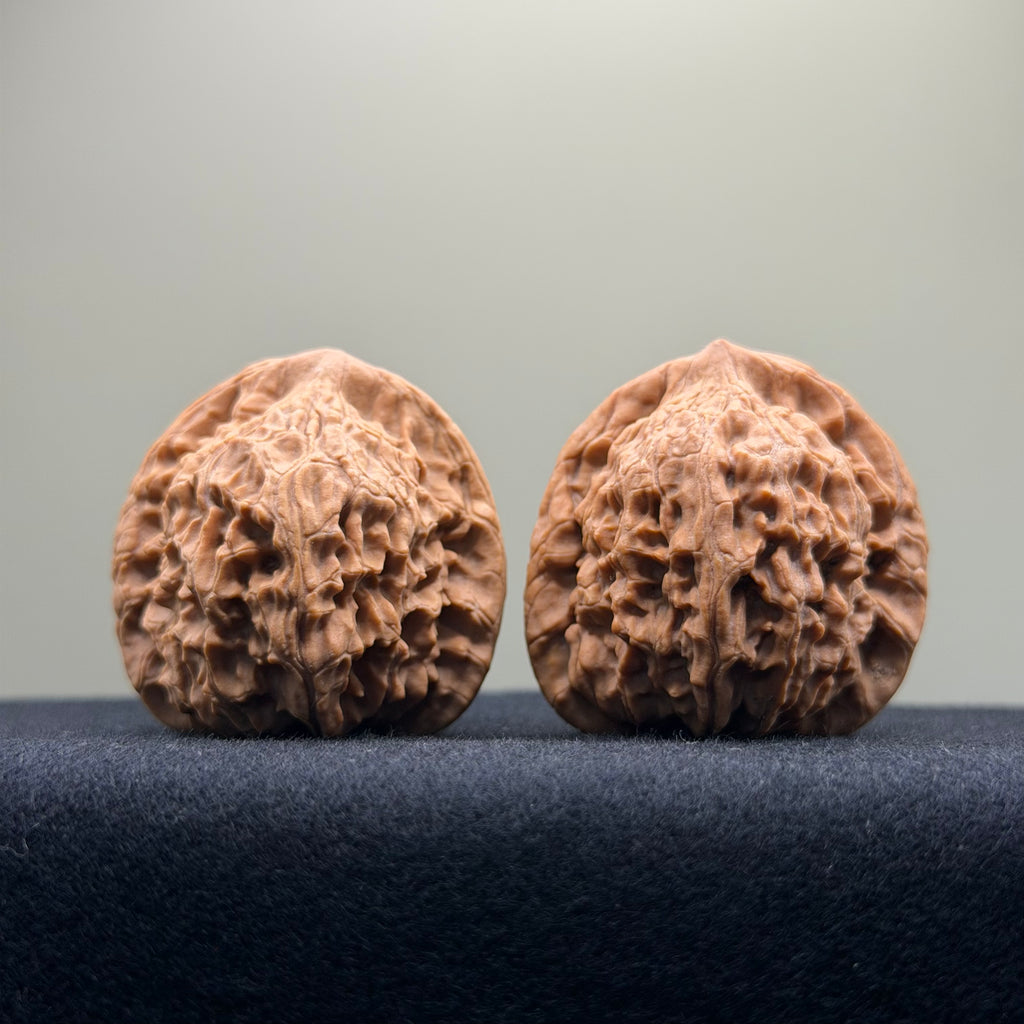 Red Lion Wenwan Walnut · 39mm · Natural · Select Ritual