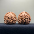 Red Lion Wenwan Walnut · 39mm · Natural · Select Ritual