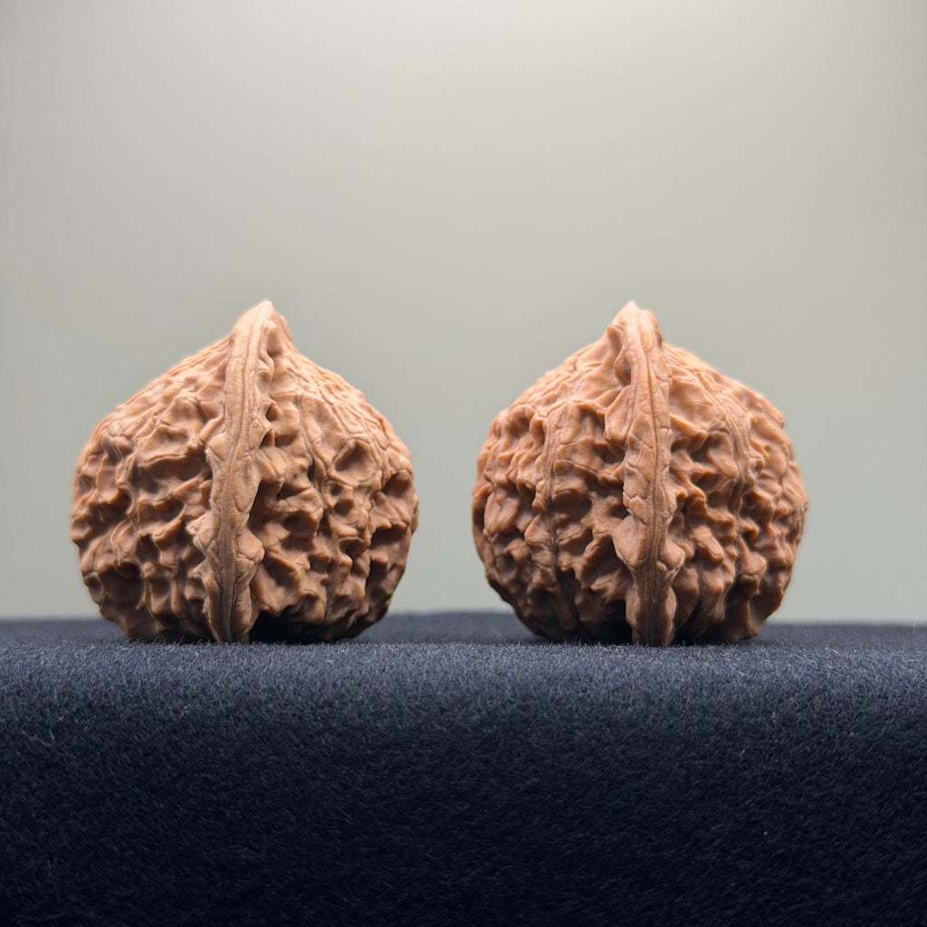 Red Lion Wenwan Walnut · 39mm · Natural · Select Ritual
