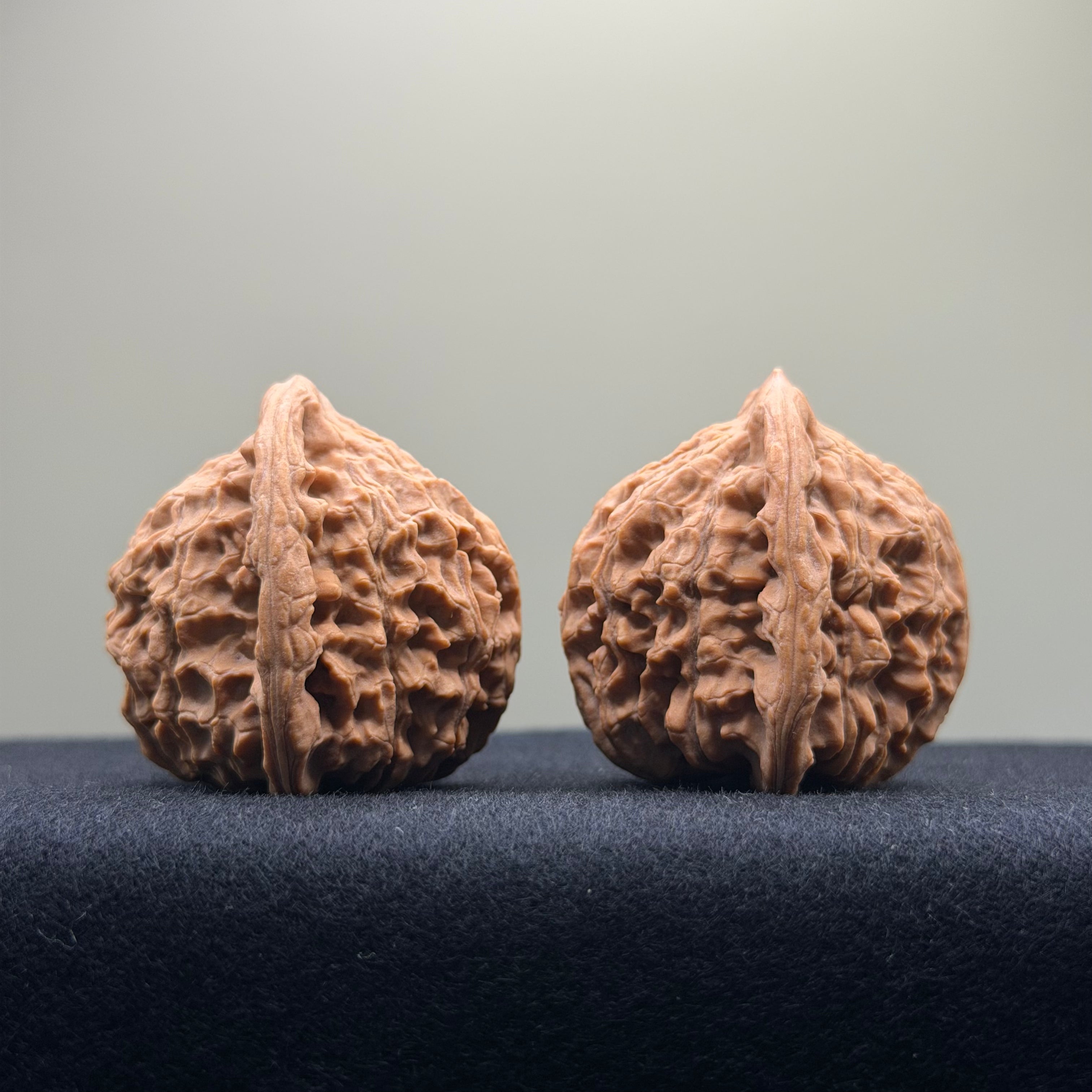 Red Lion Wenwan Walnut · 39mm · Natural · Select Ritual