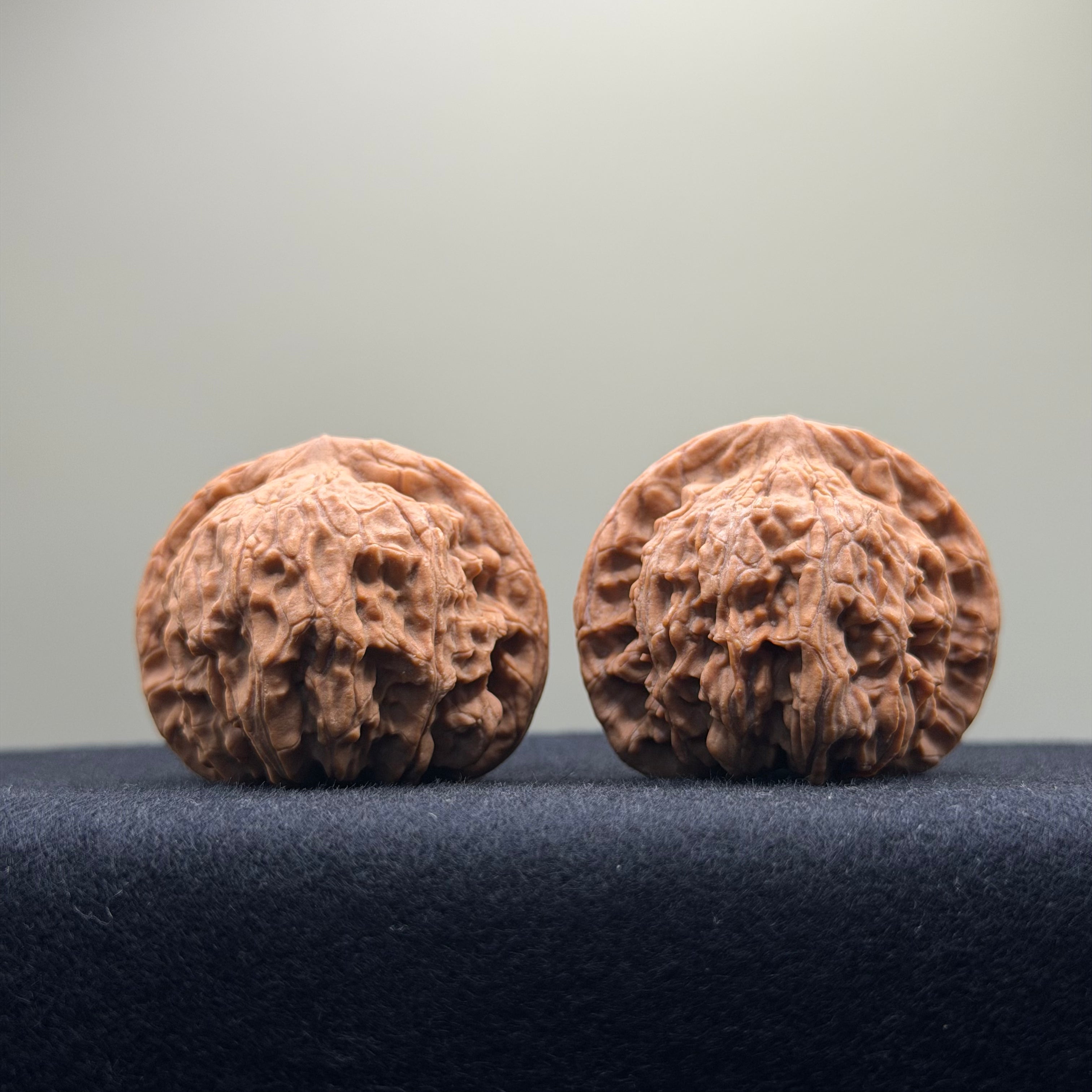Red Lion Wenwan Walnut · 40mm · Natural · Select Ritual