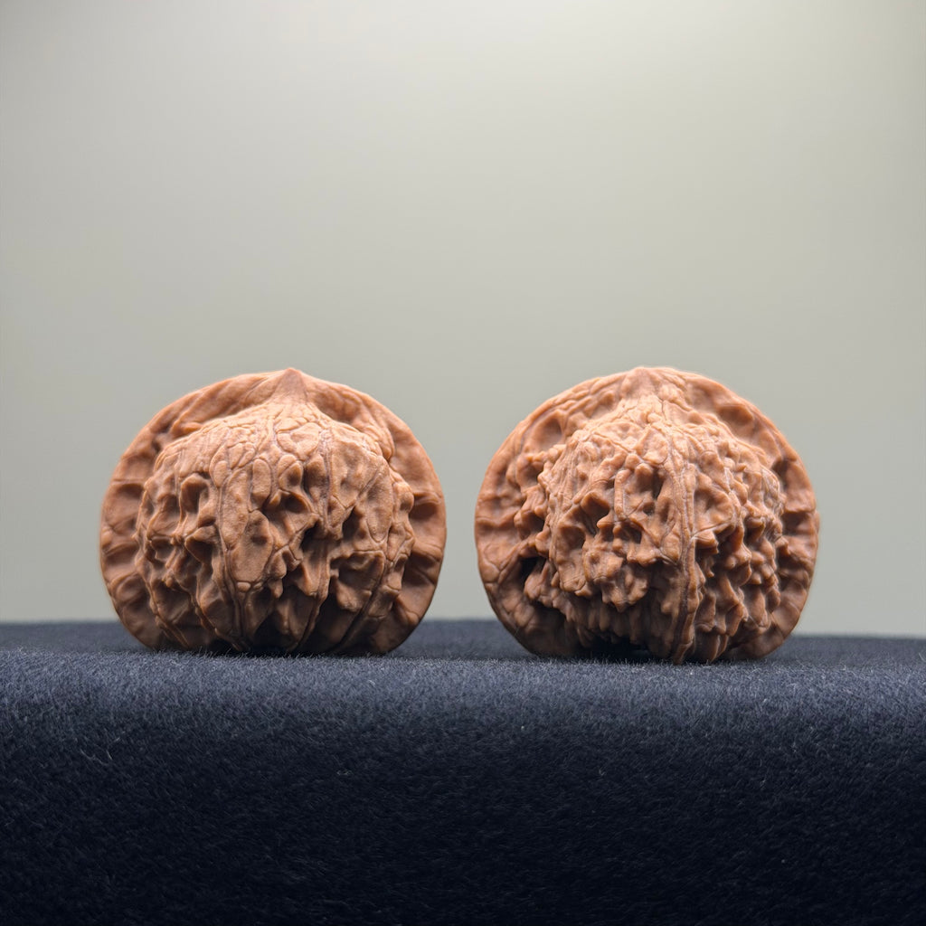 Red Lion Wenwan Walnut · 40mm · Natural · Select Ritual