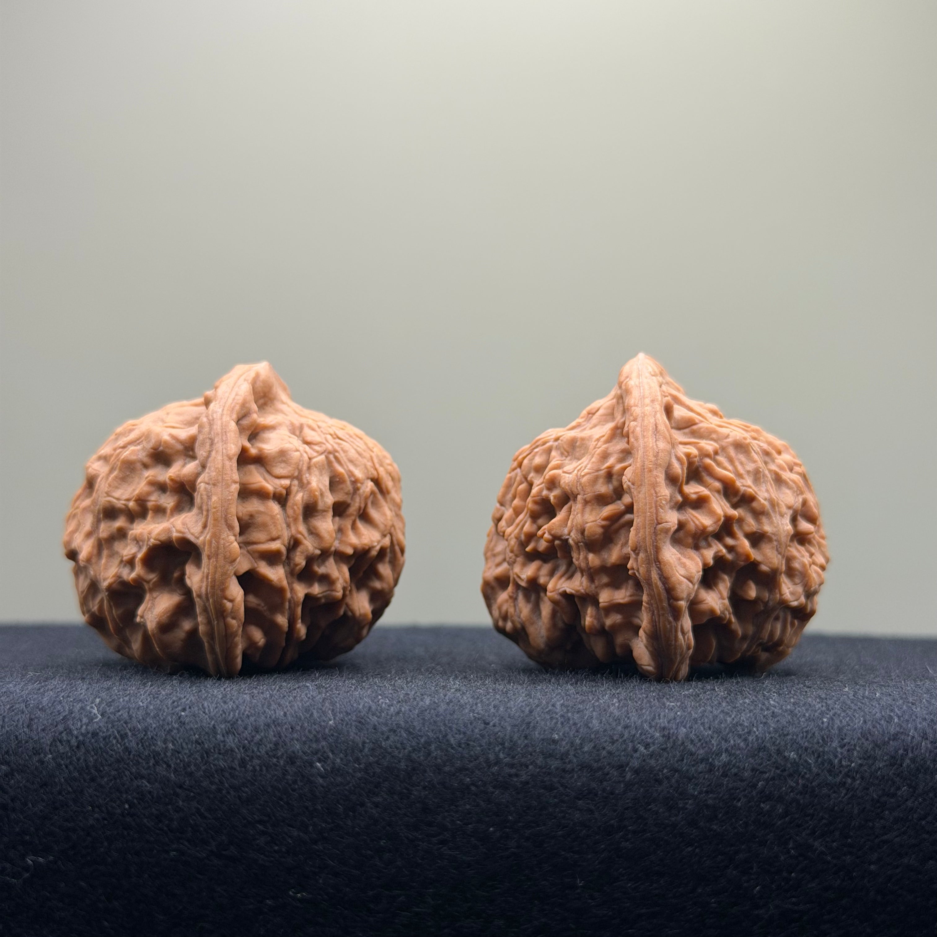 Red Lion Wenwan Walnut · 40mm · Natural · Select Ritual