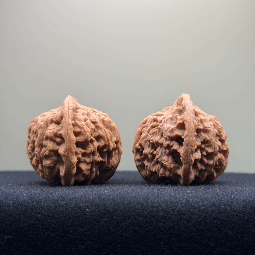 Red Lion Wenwan Walnut · 40mm · Natural · Select Ritual