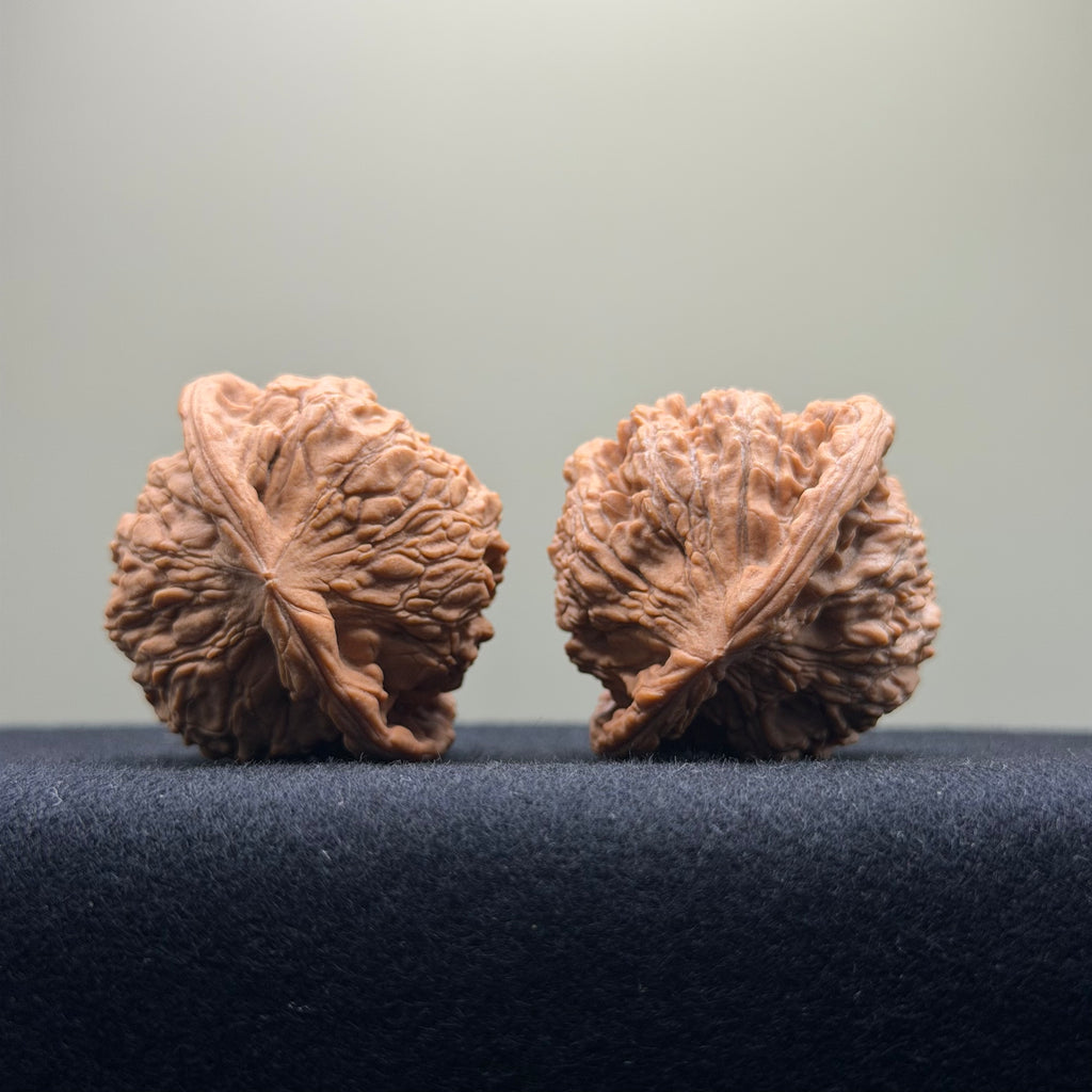 Red Lion Wenwan Walnut · 40mm · Natural · Select Ritual
