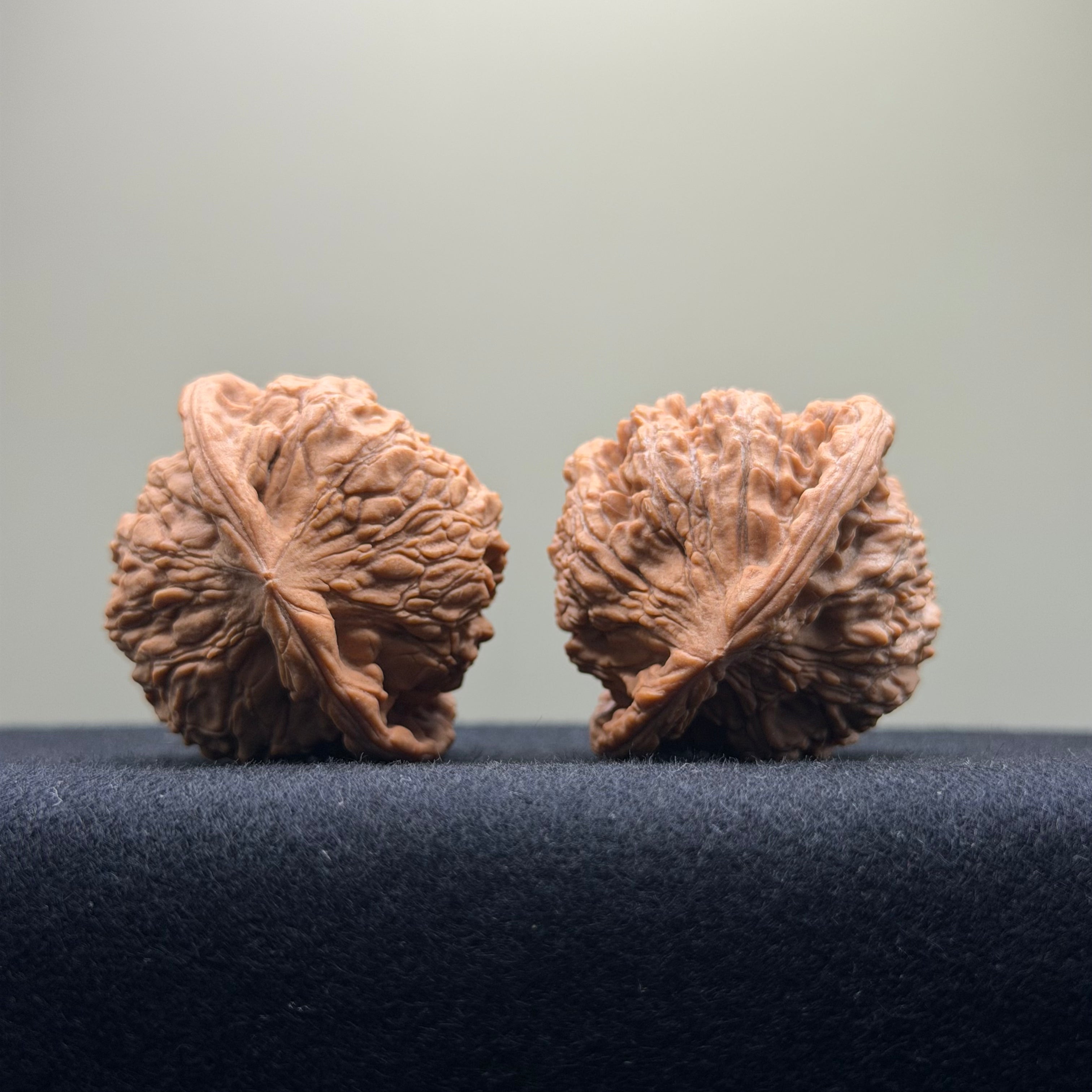 Red Lion Wenwan Walnut · 40mm · Natural · Select Ritual