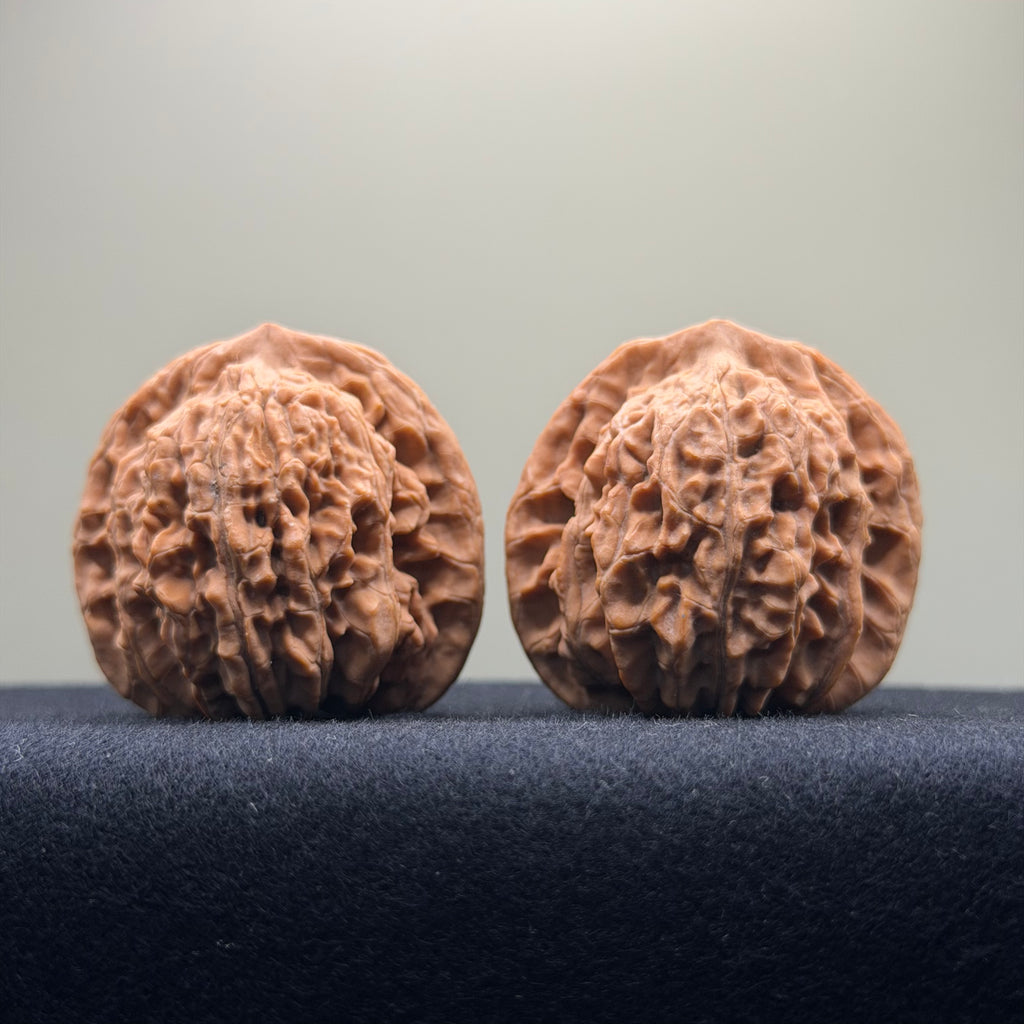 Four Towers Wenwan Walnut · 42mm · Natural · Premium Ritual