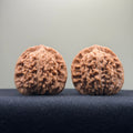 Four Towers Wenwan Walnut · 42mm · Natural · Premium Ritual