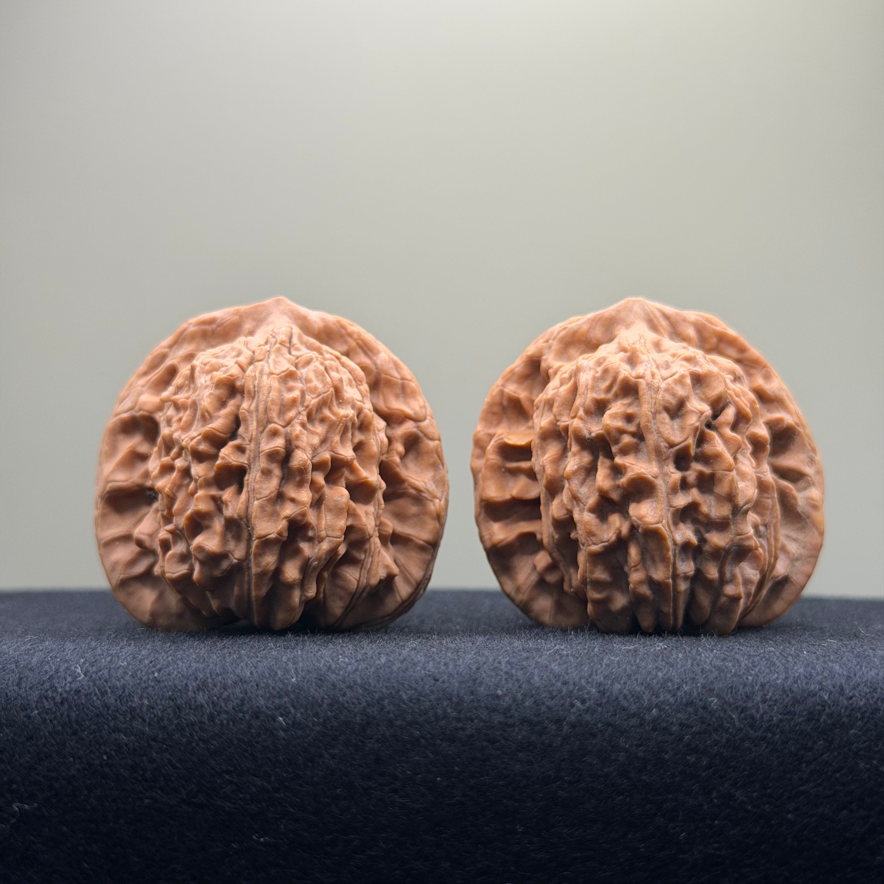 Four Towers Wenwan Walnut · 42mm · Natural · Premium Ritual