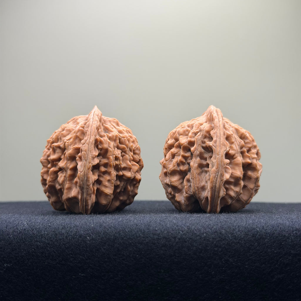 Four Towers Wenwan Walnut · 42mm · Natural · Premium Ritual