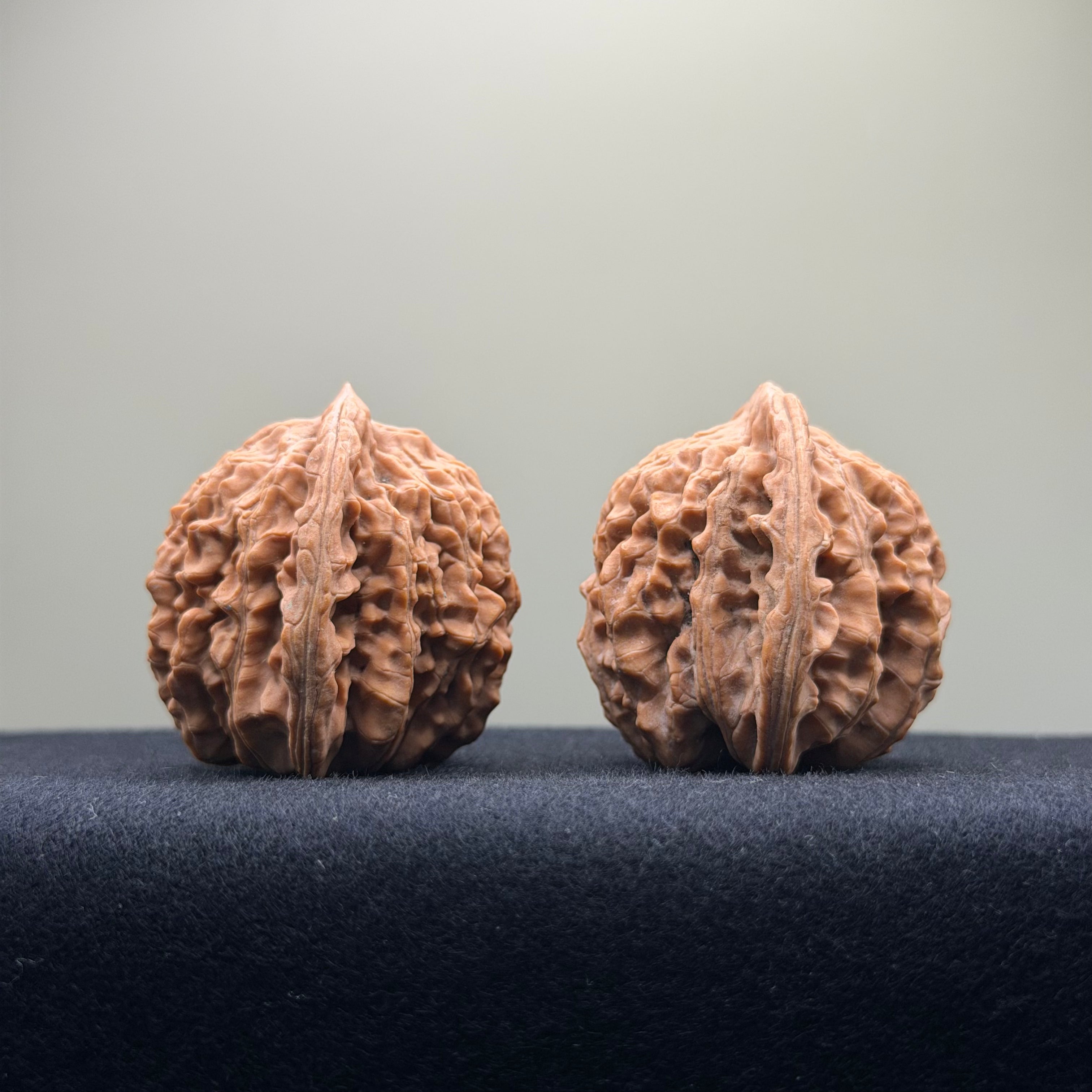 Four Towers Wenwan Walnut · 42mm · Natural · Premium Ritual