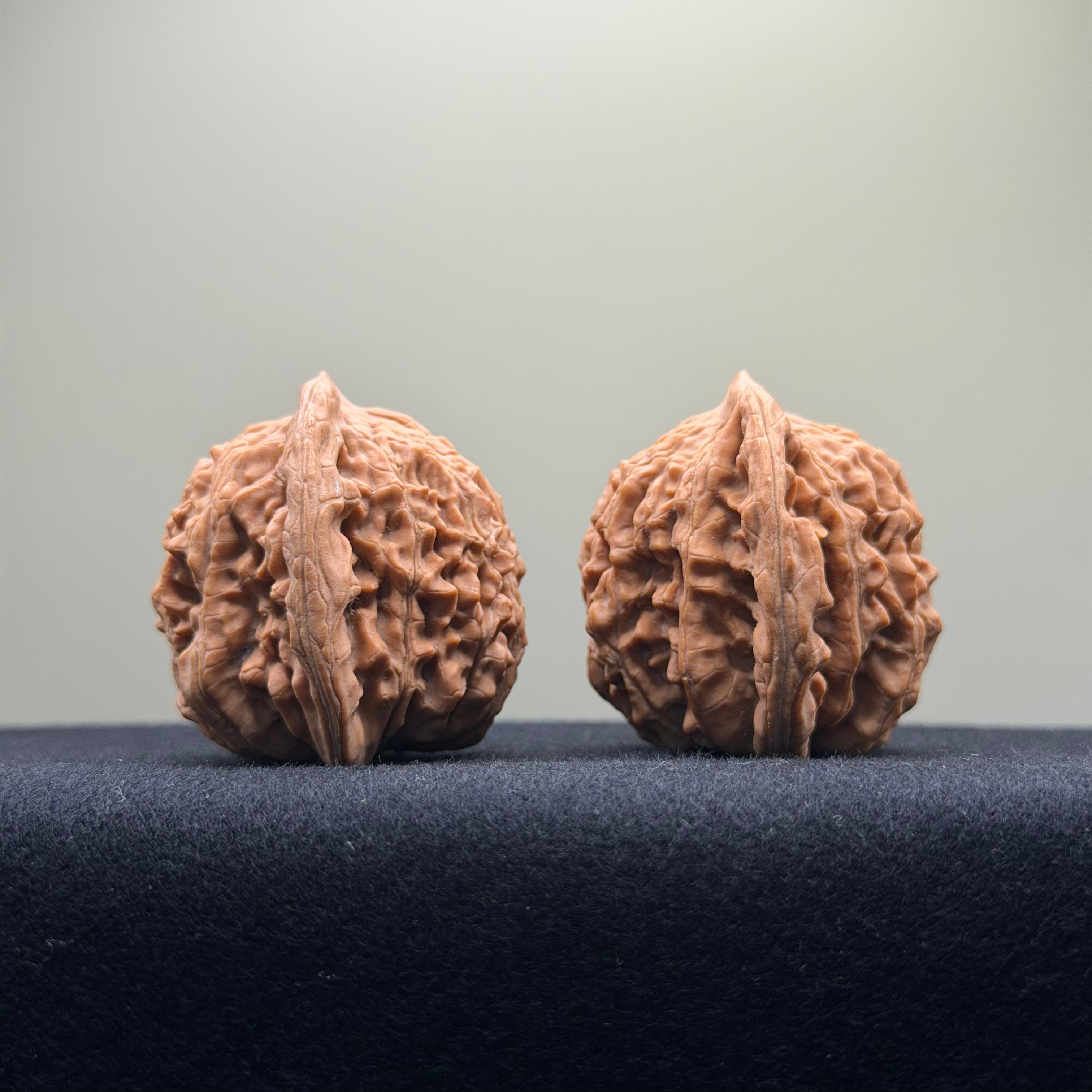 Four Towers Wenwan Walnut · 42mm · Natural · Premium Ritual
