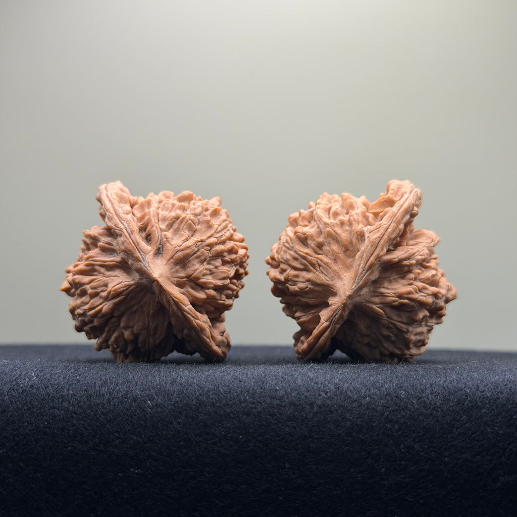 Four Towers Wenwan Walnut · 42mm · Natural · Premium Ritual