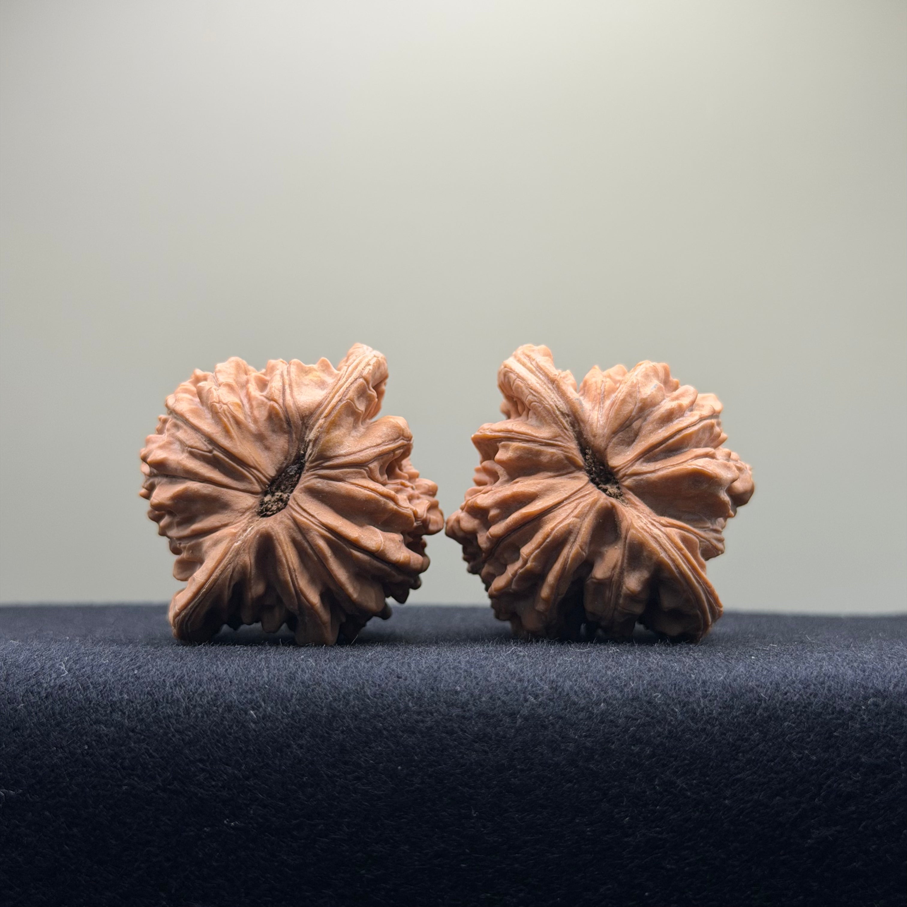 Four Towers Wenwan Walnut · 42mm · Natural · Premium Ritual
