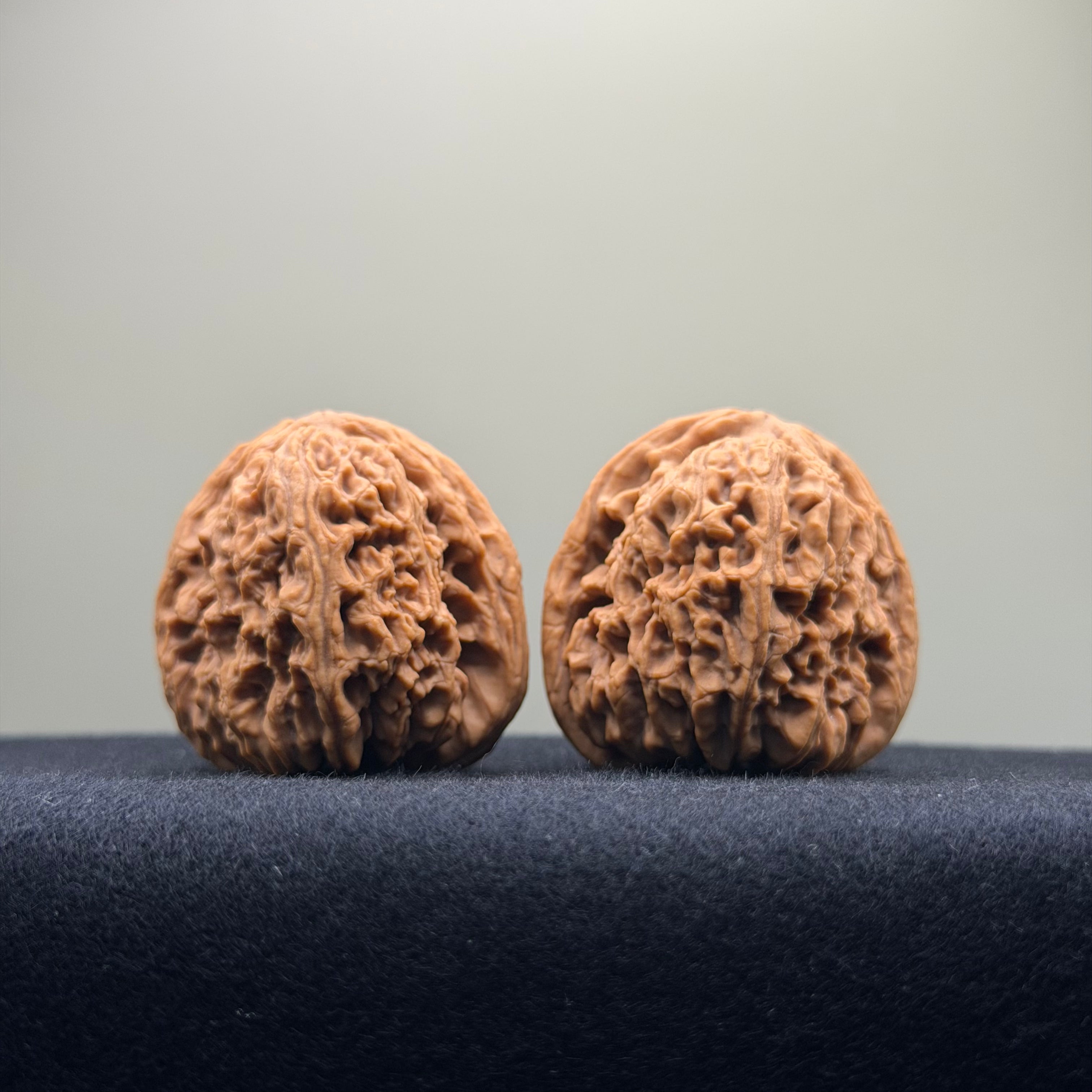 Four Towers Wenwan Walnut · 37mm · Natural · Premium Ritual