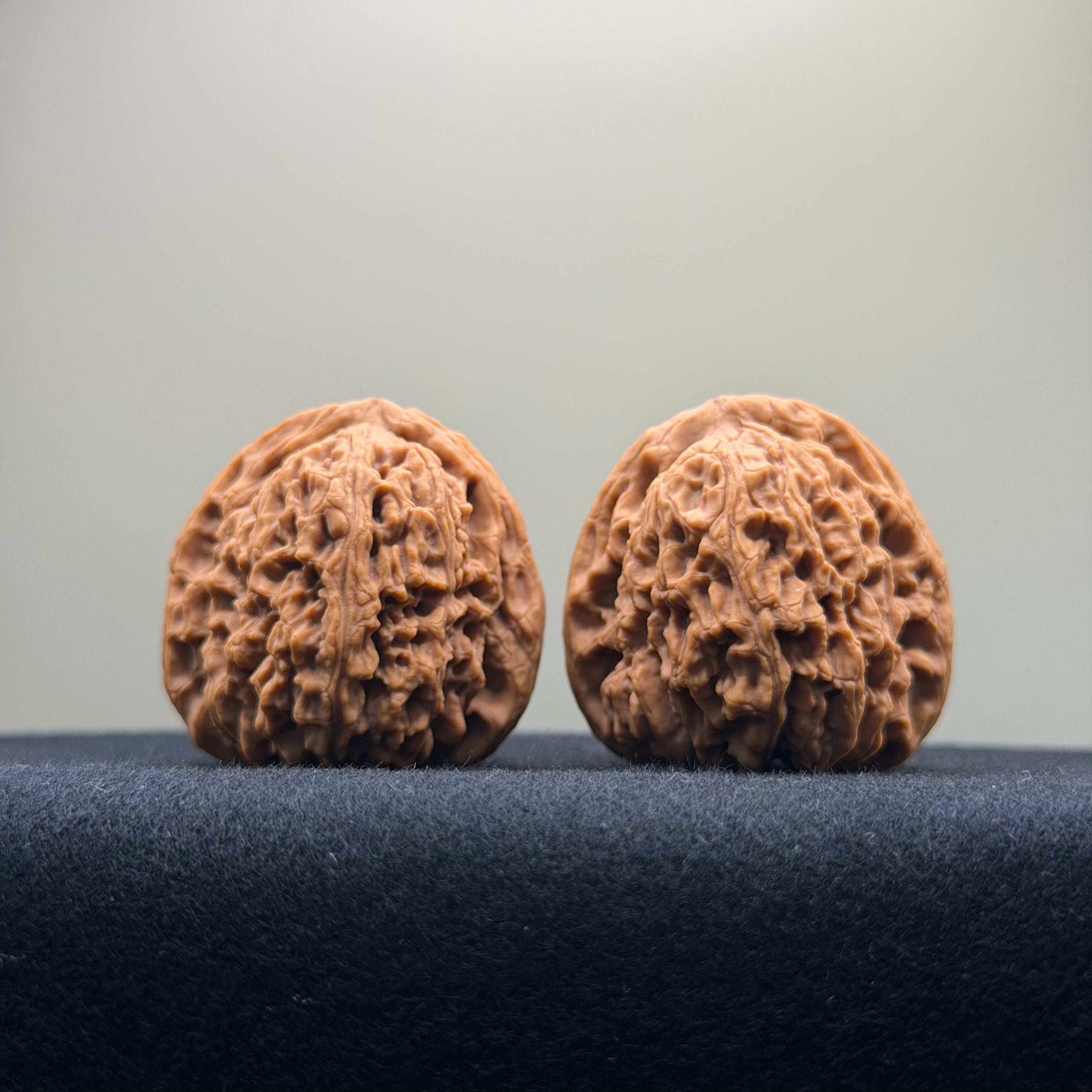 Four Towers Wenwan Walnut · 37mm · Natural · Premium Ritual