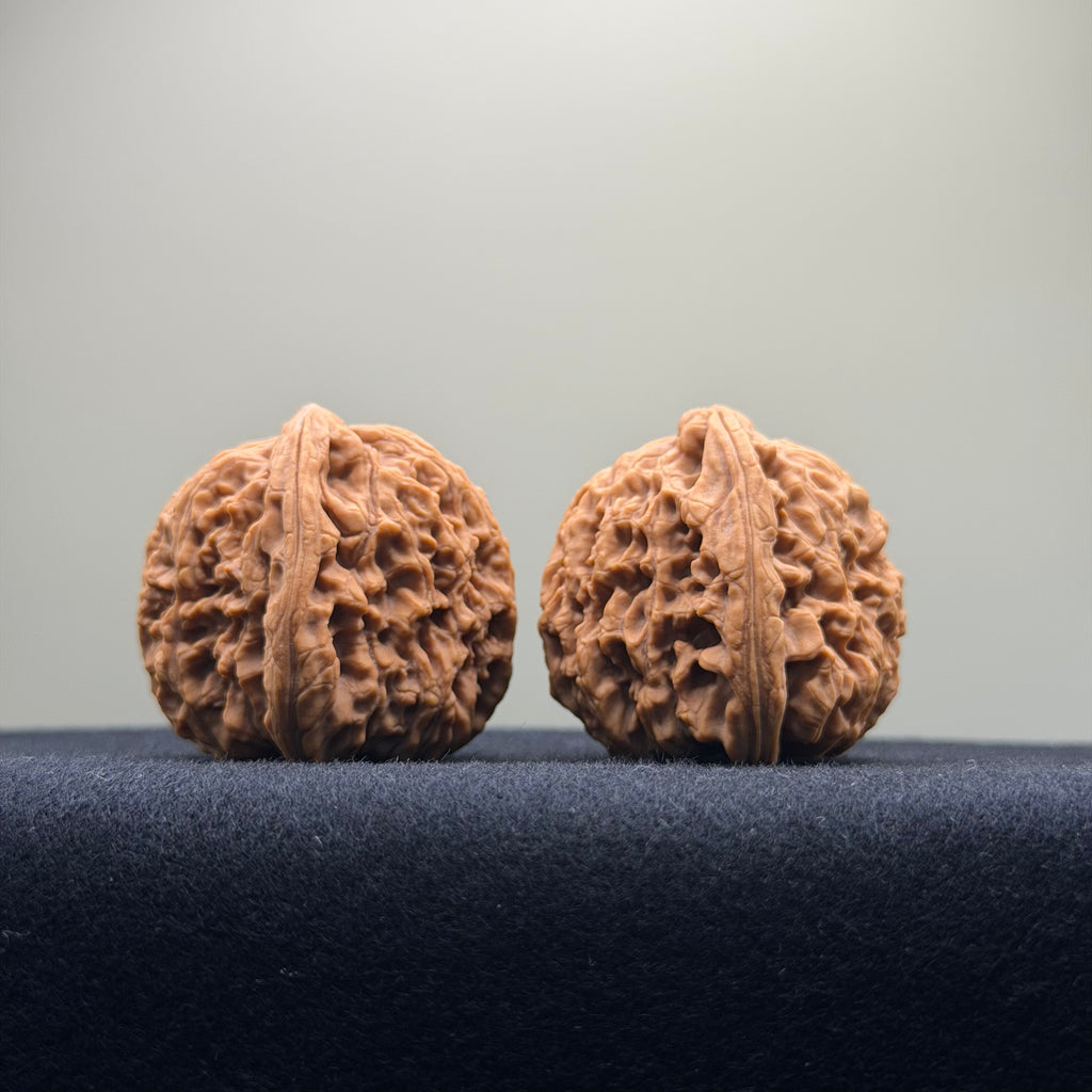 Four Towers Wenwan Walnut · 37mm · Natural · Premium Ritual