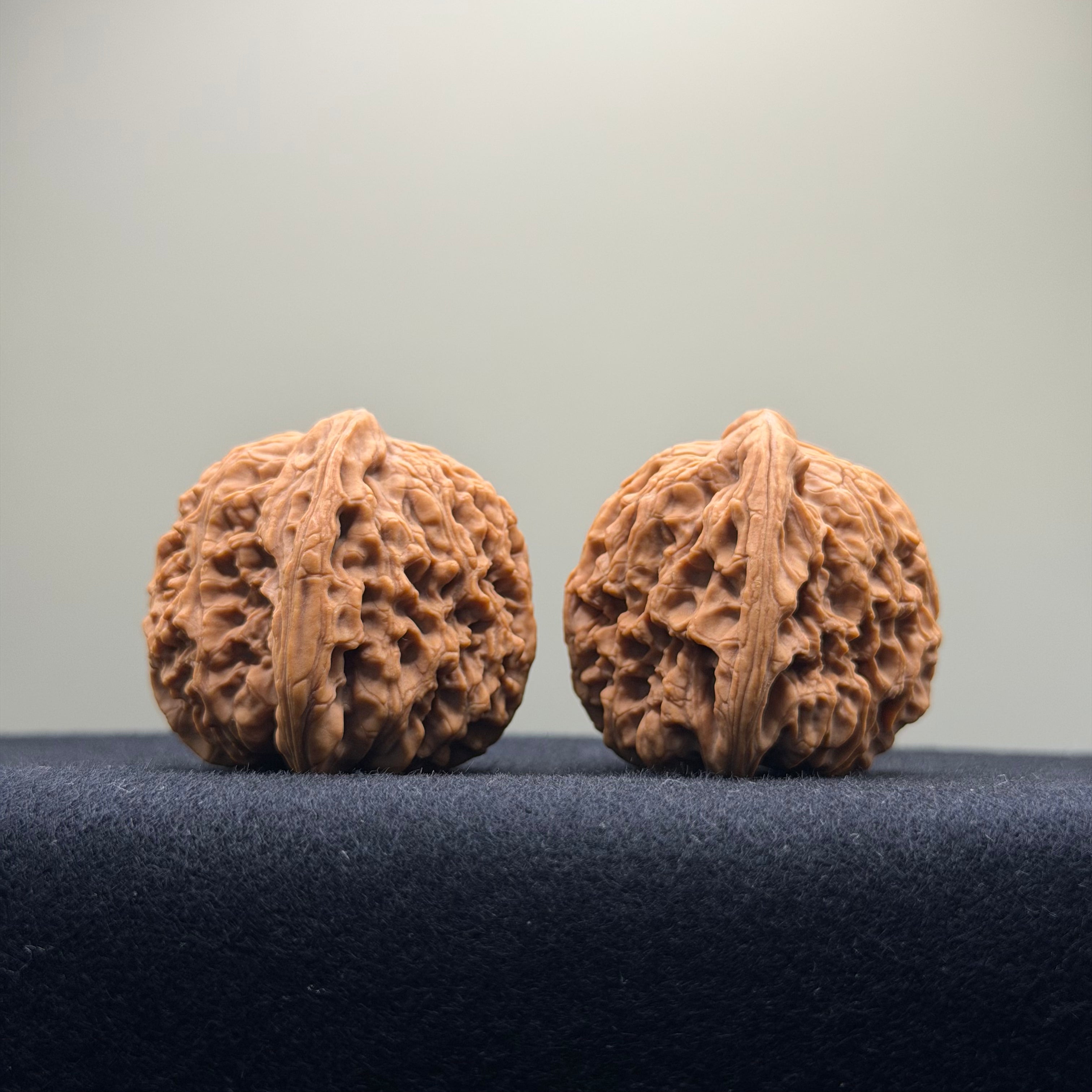 Four Towers Wenwan Walnut · 37mm · Natural · Premium Ritual