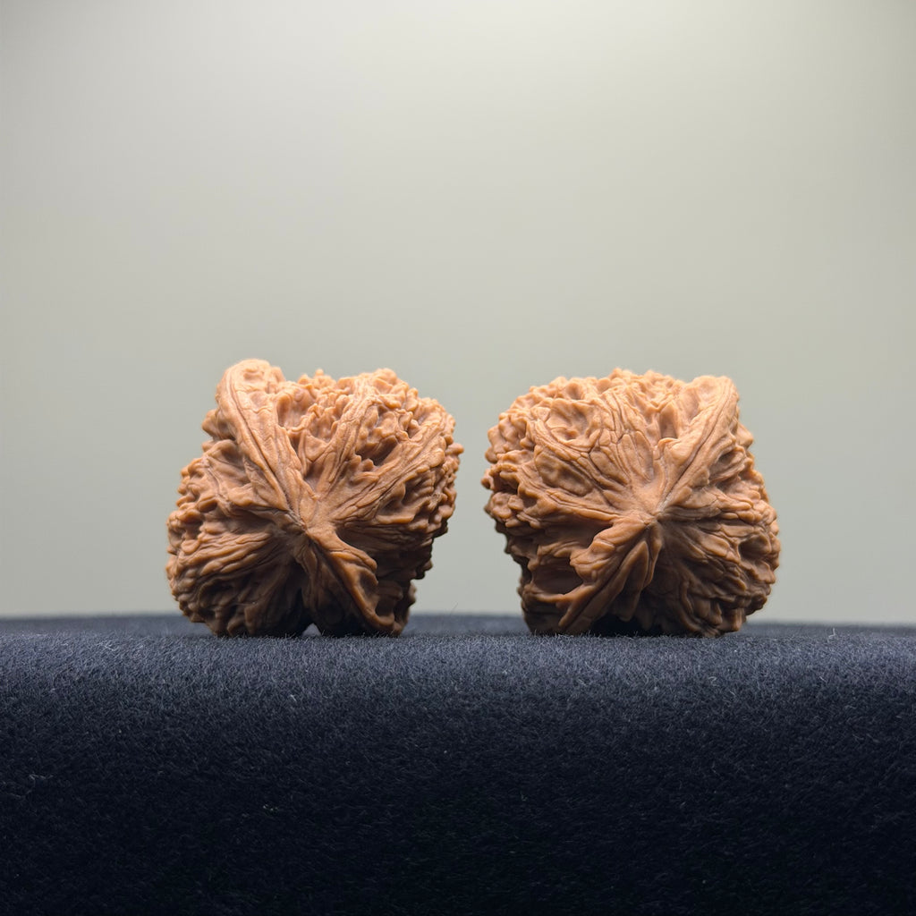 Four Towers Wenwan Walnut · 37mm · Natural · Premium Ritual