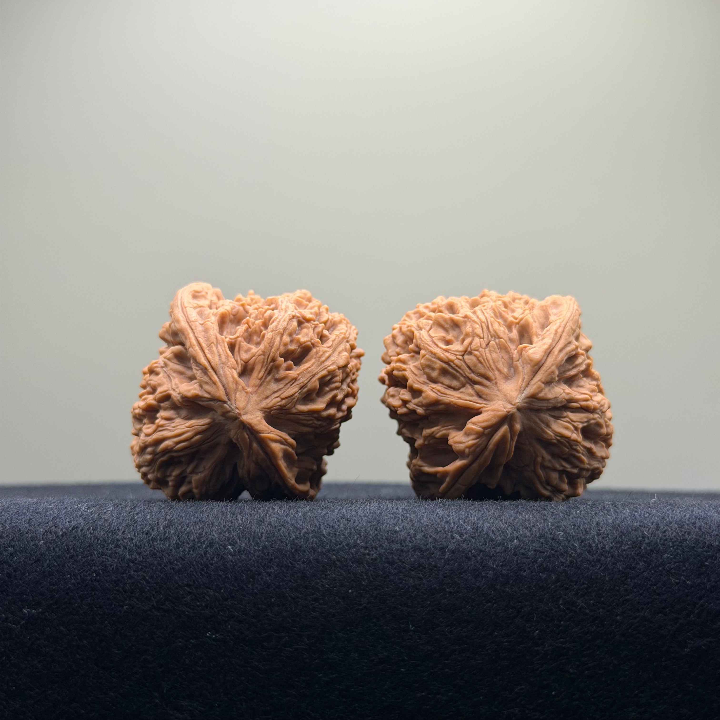 Four Towers Wenwan Walnut · 37mm · Natural · Premium Ritual