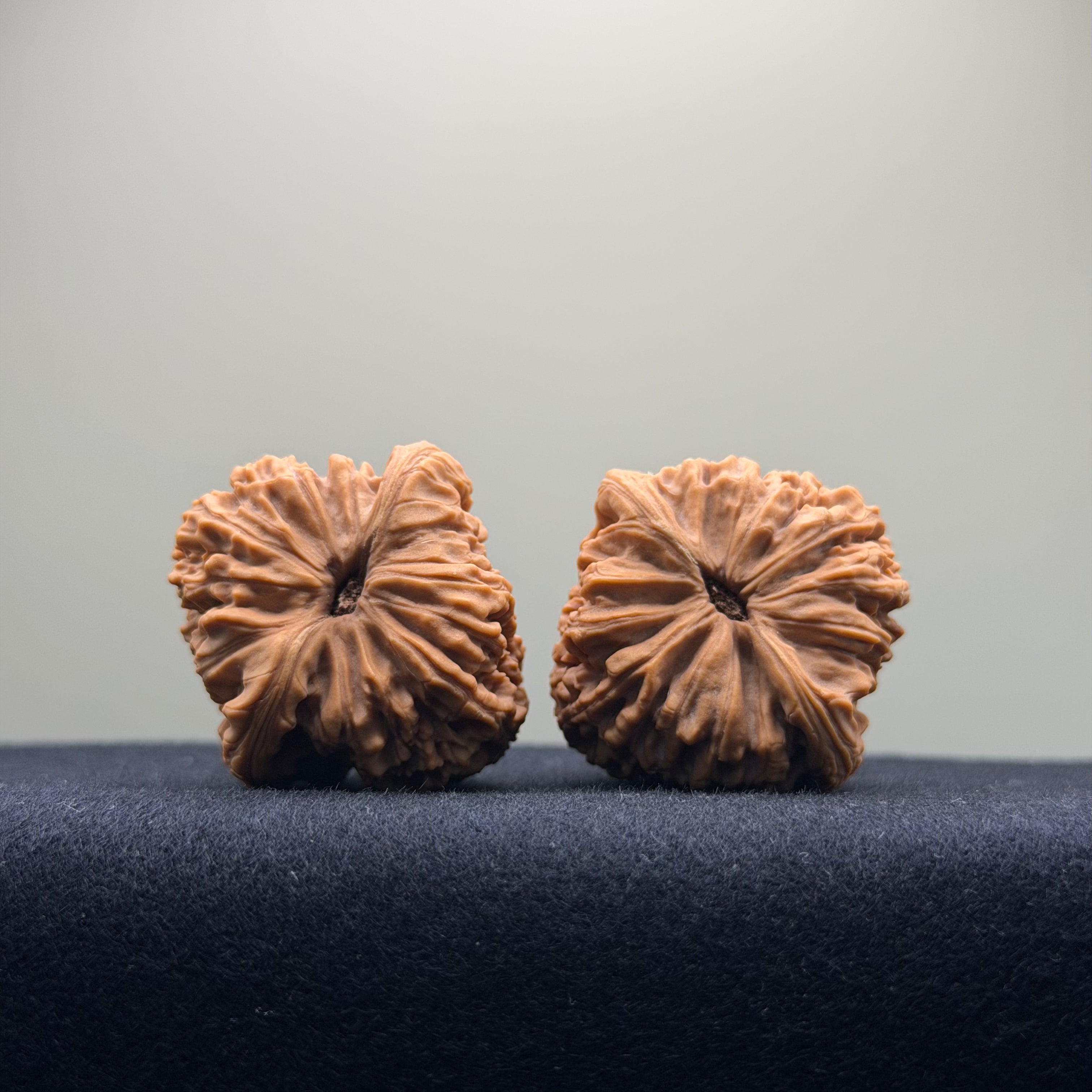 Four Towers Wenwan Walnut · 37mm · Natural · Premium Ritual