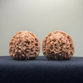 Four Towers Wenwan Walnut · 42mm · Natural · Premium Ritual