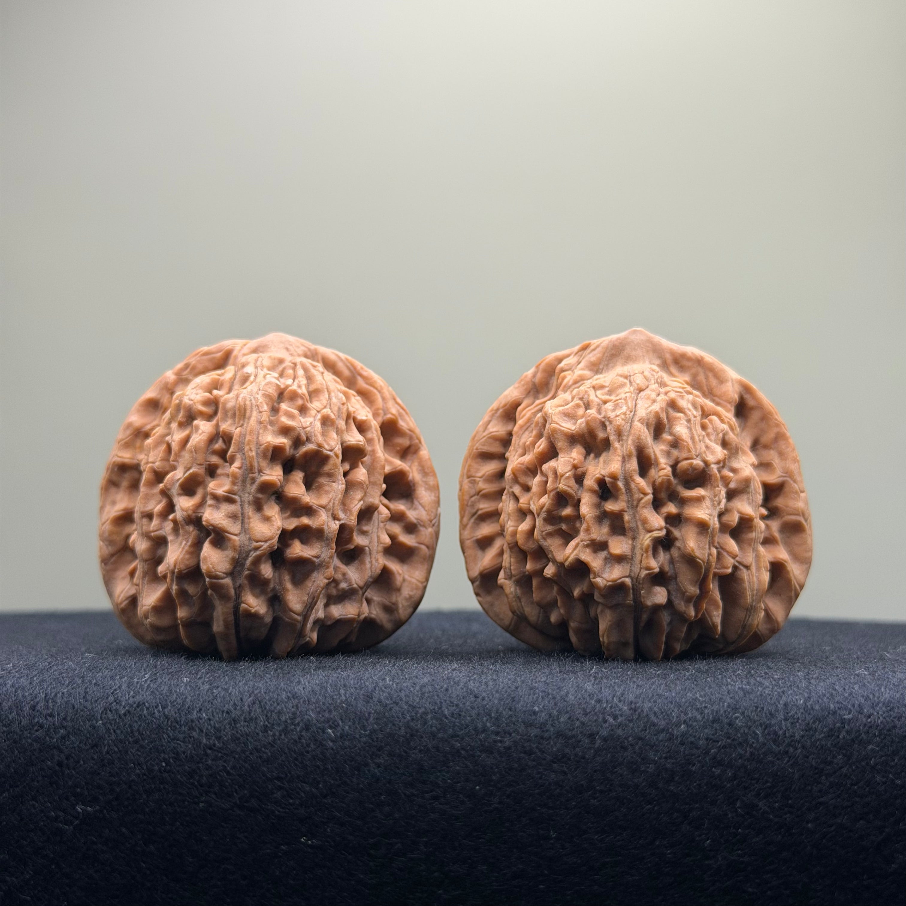 Four Towers Wenwan Walnut · 42mm · Natural · Premium Ritual