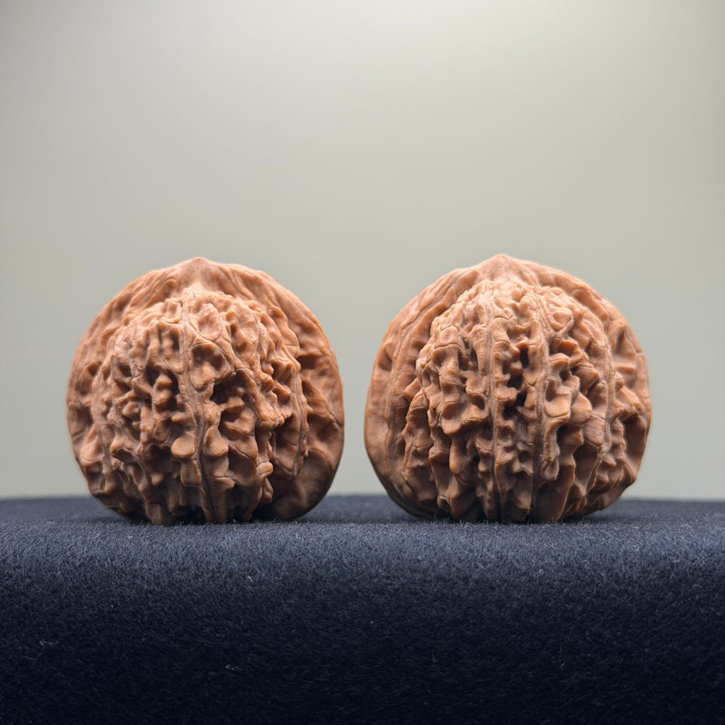 Four Towers Wenwan Walnut · 42mm · Natural · Premium Ritual