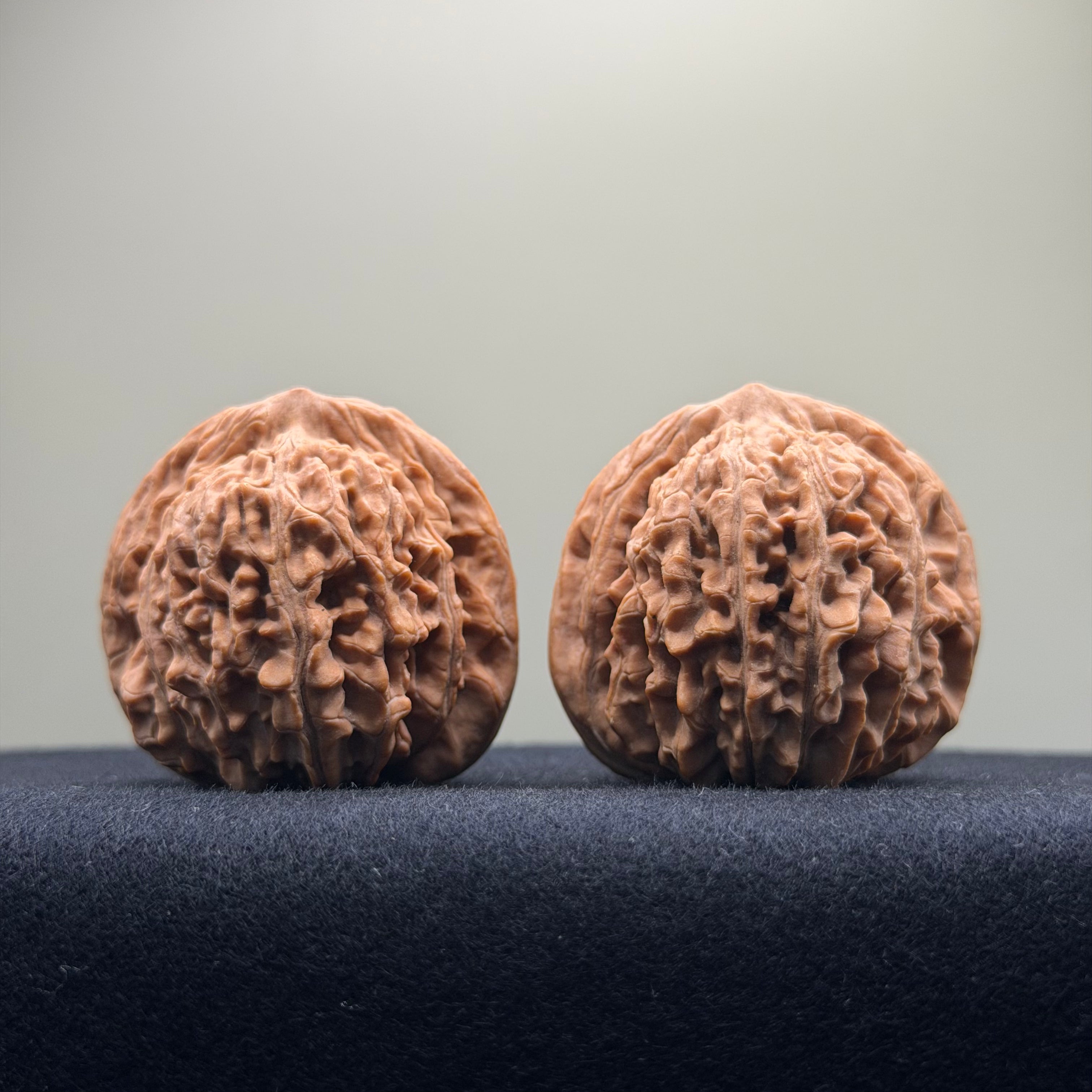 Four Towers Wenwan Walnut · 42mm · Natural · Premium Ritual