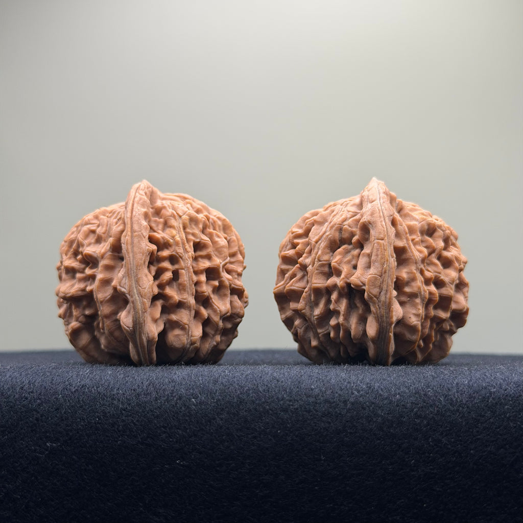 Four Towers Wenwan Walnut · 42mm · Natural · Premium Ritual